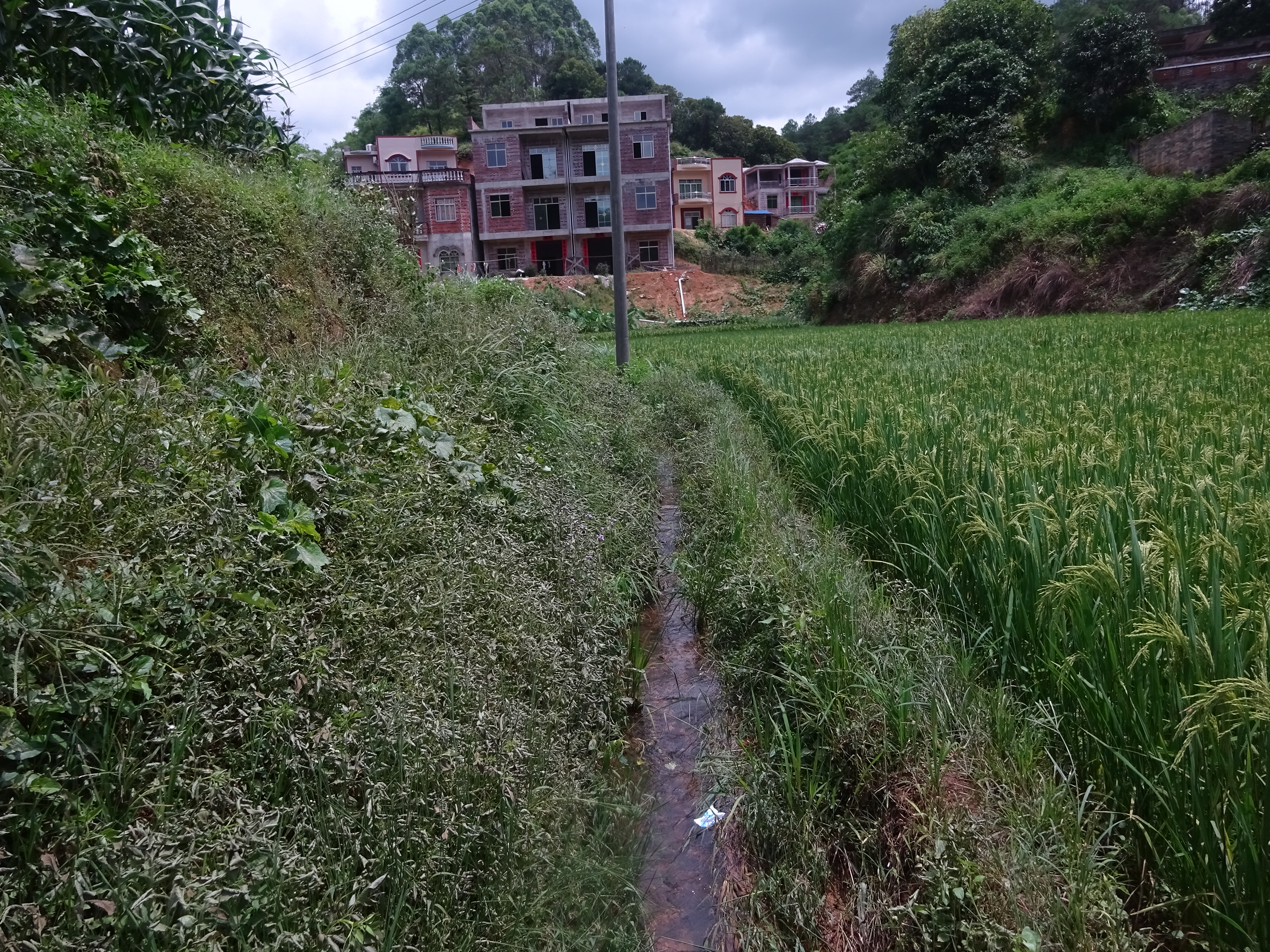 黎屋河