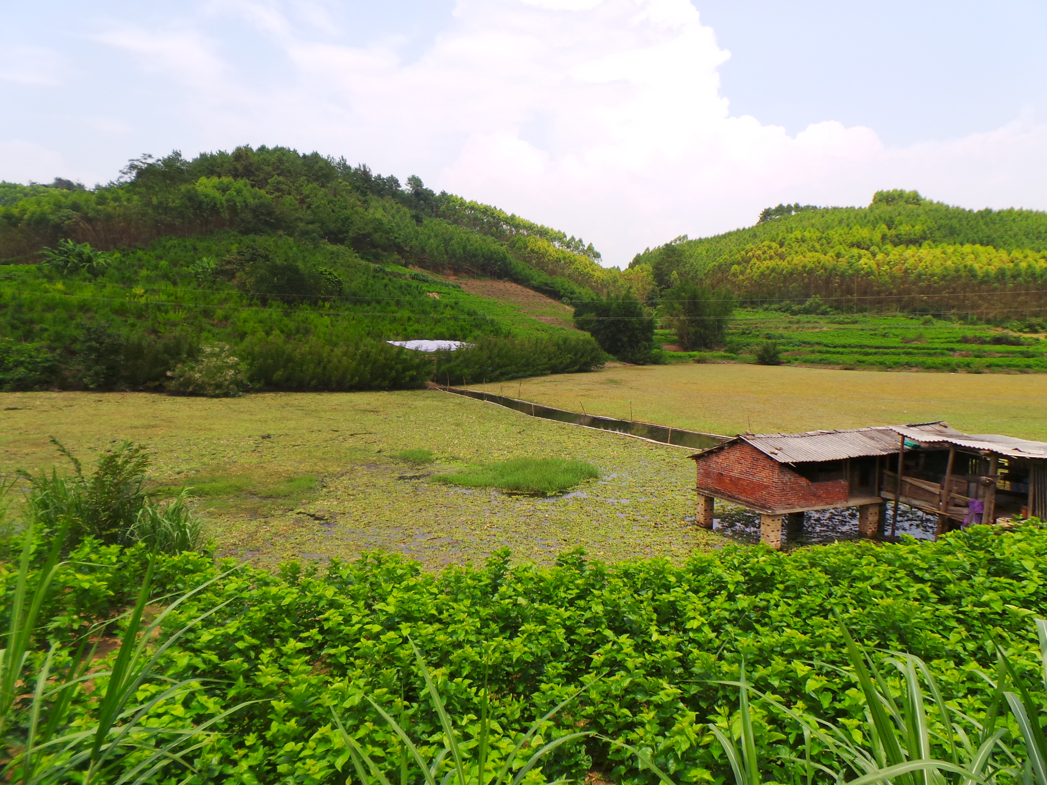 沙口水库