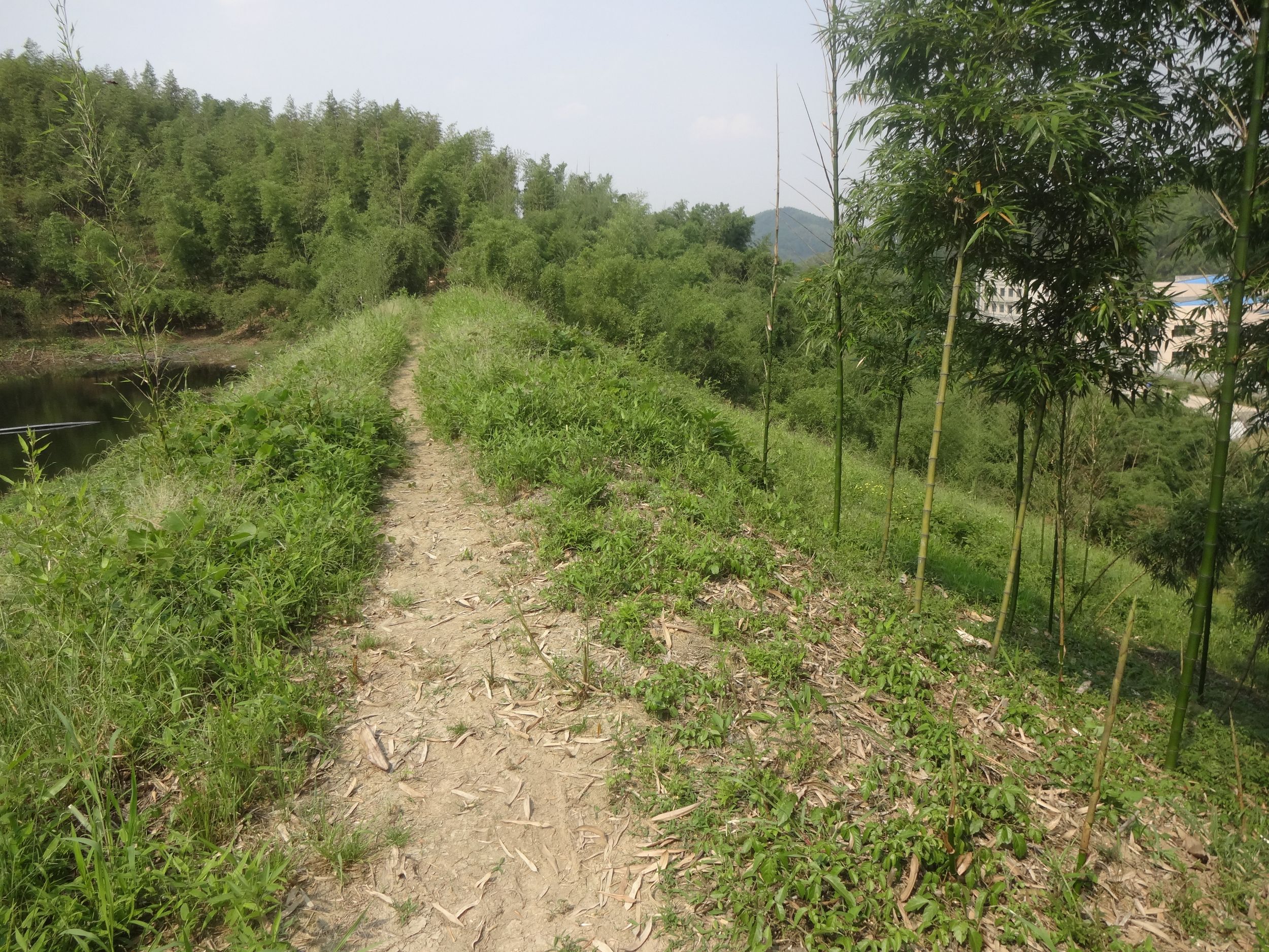 鸭山坞水库