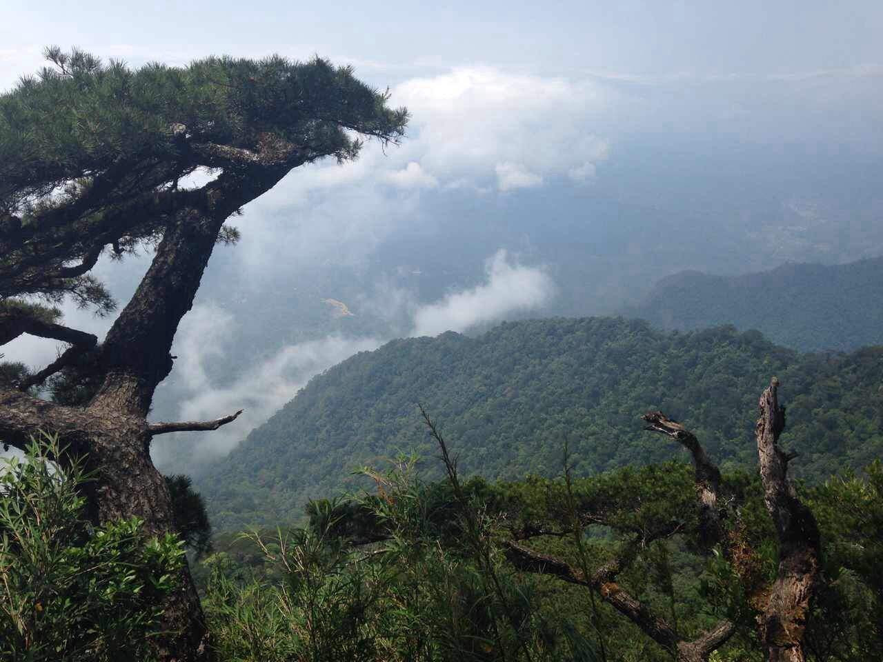 海南玉龙岭自然保护区