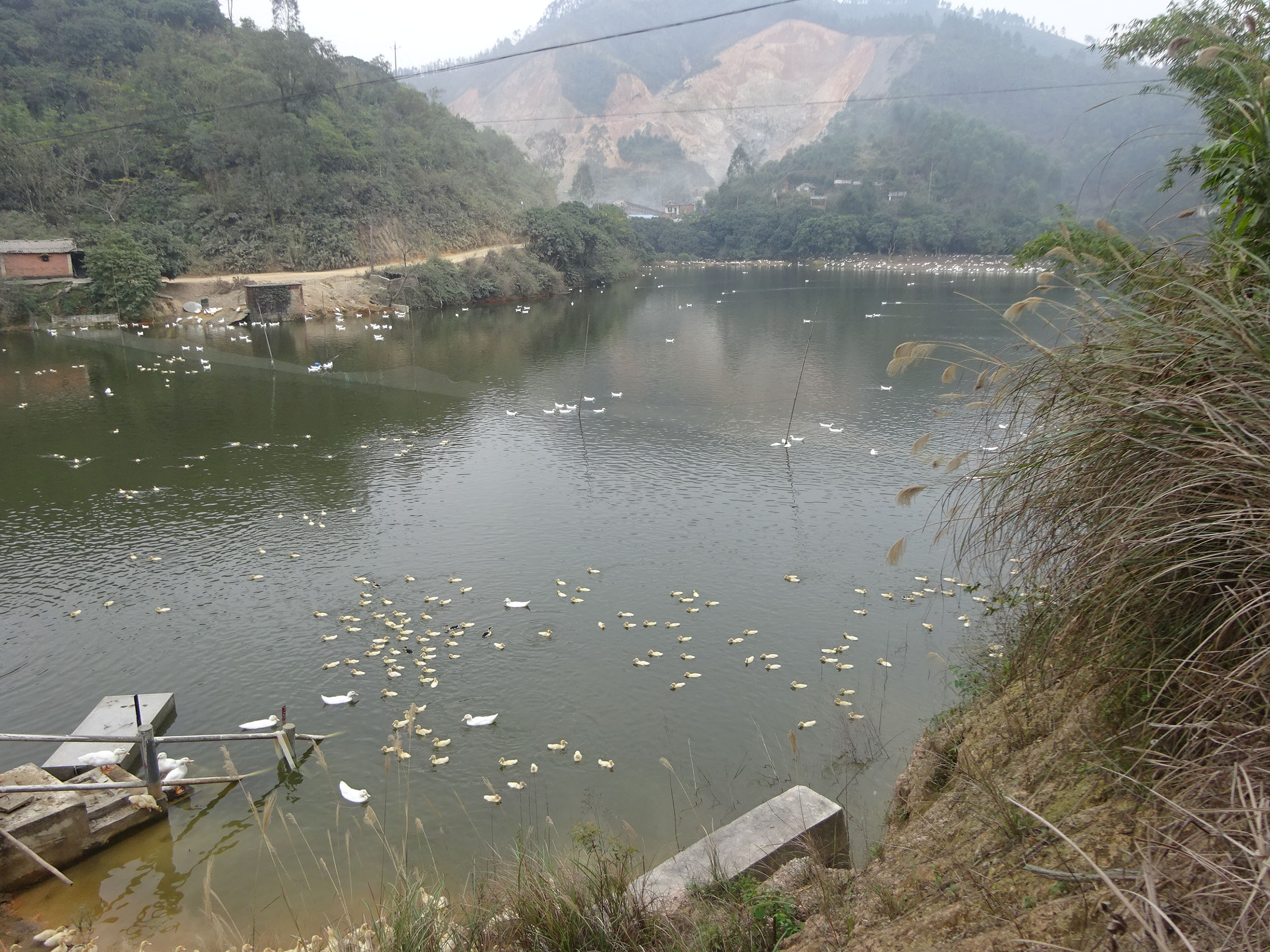 湴田麓水库