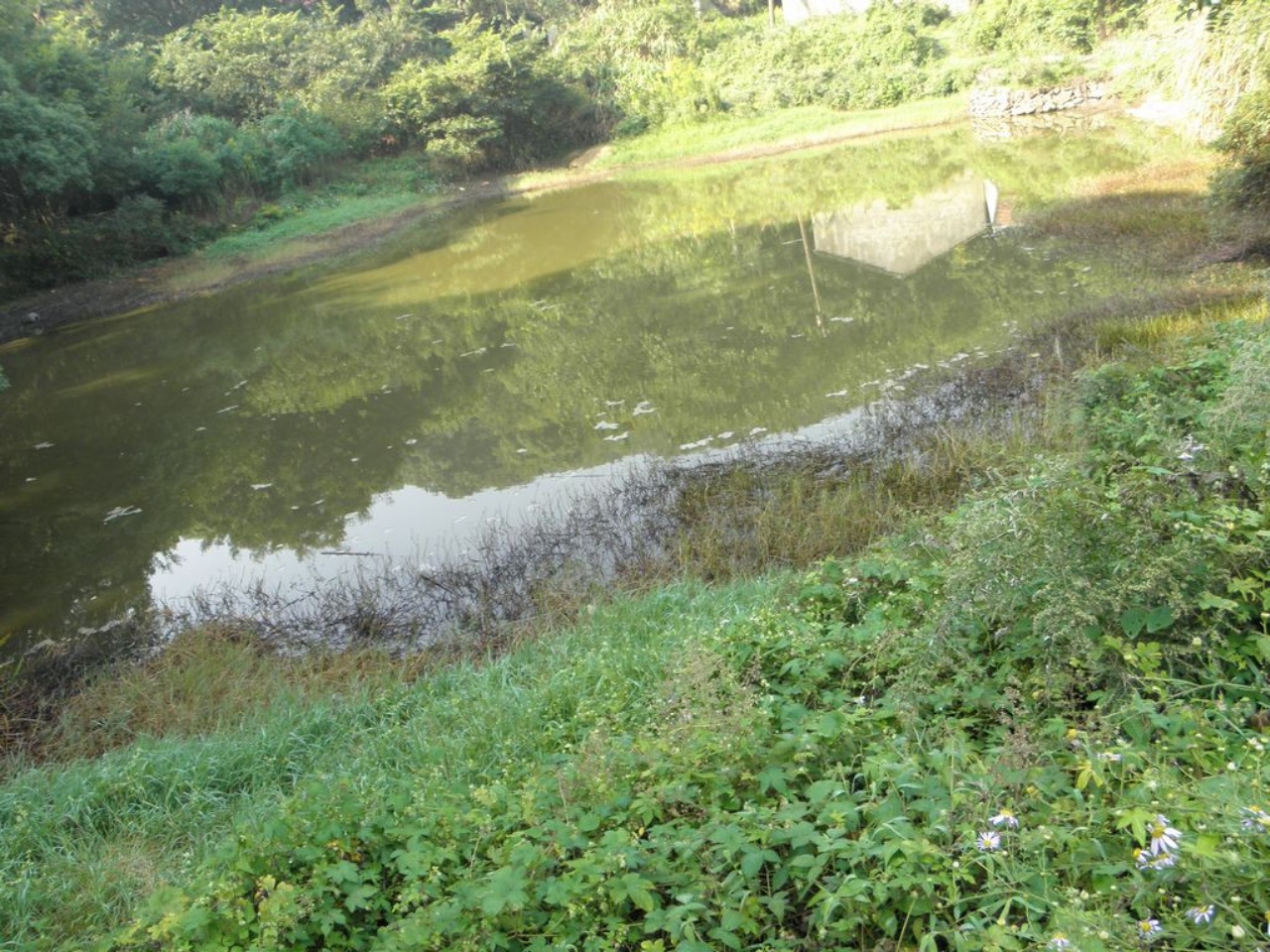 里岙山塘