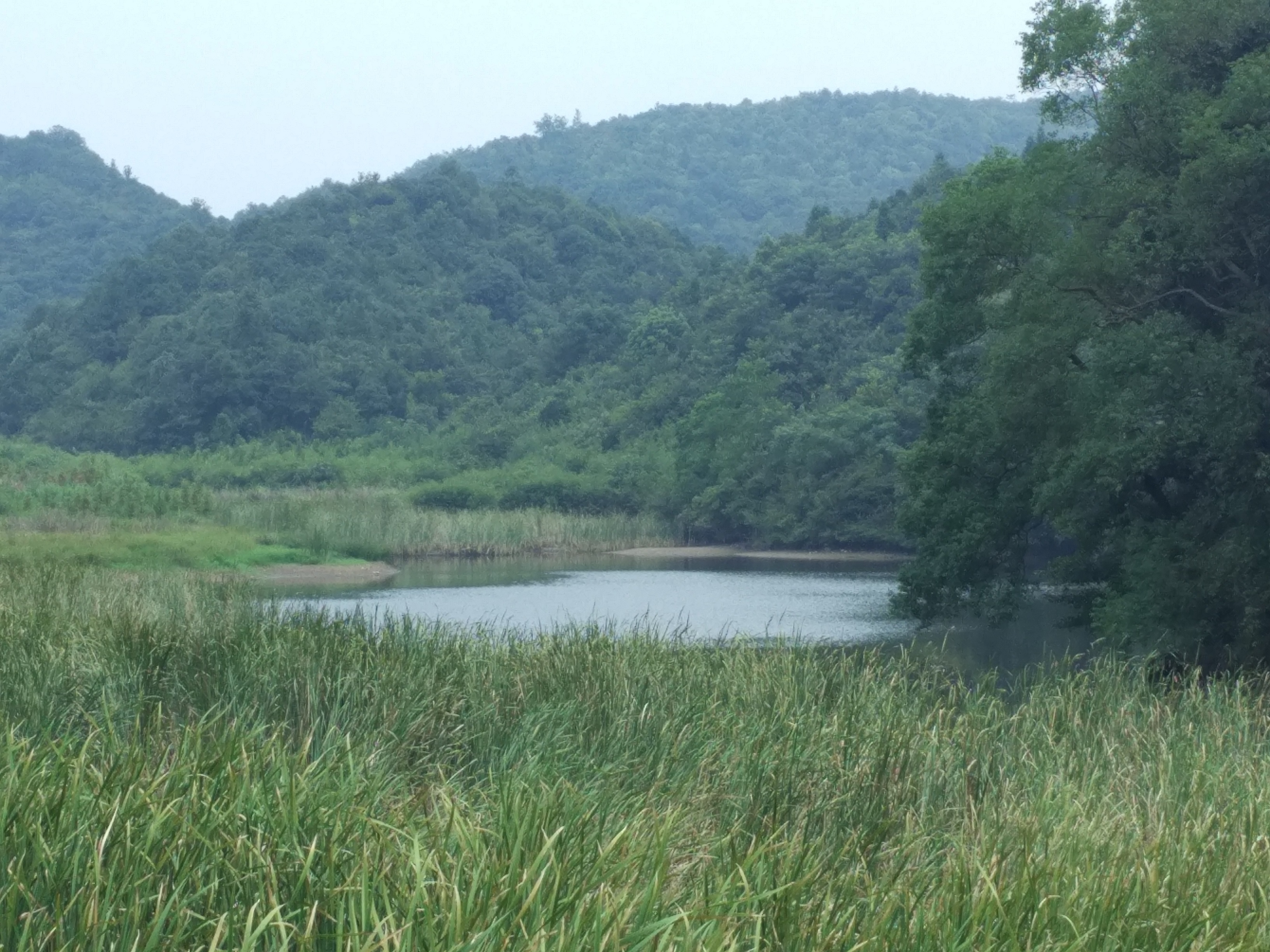 小桂水库