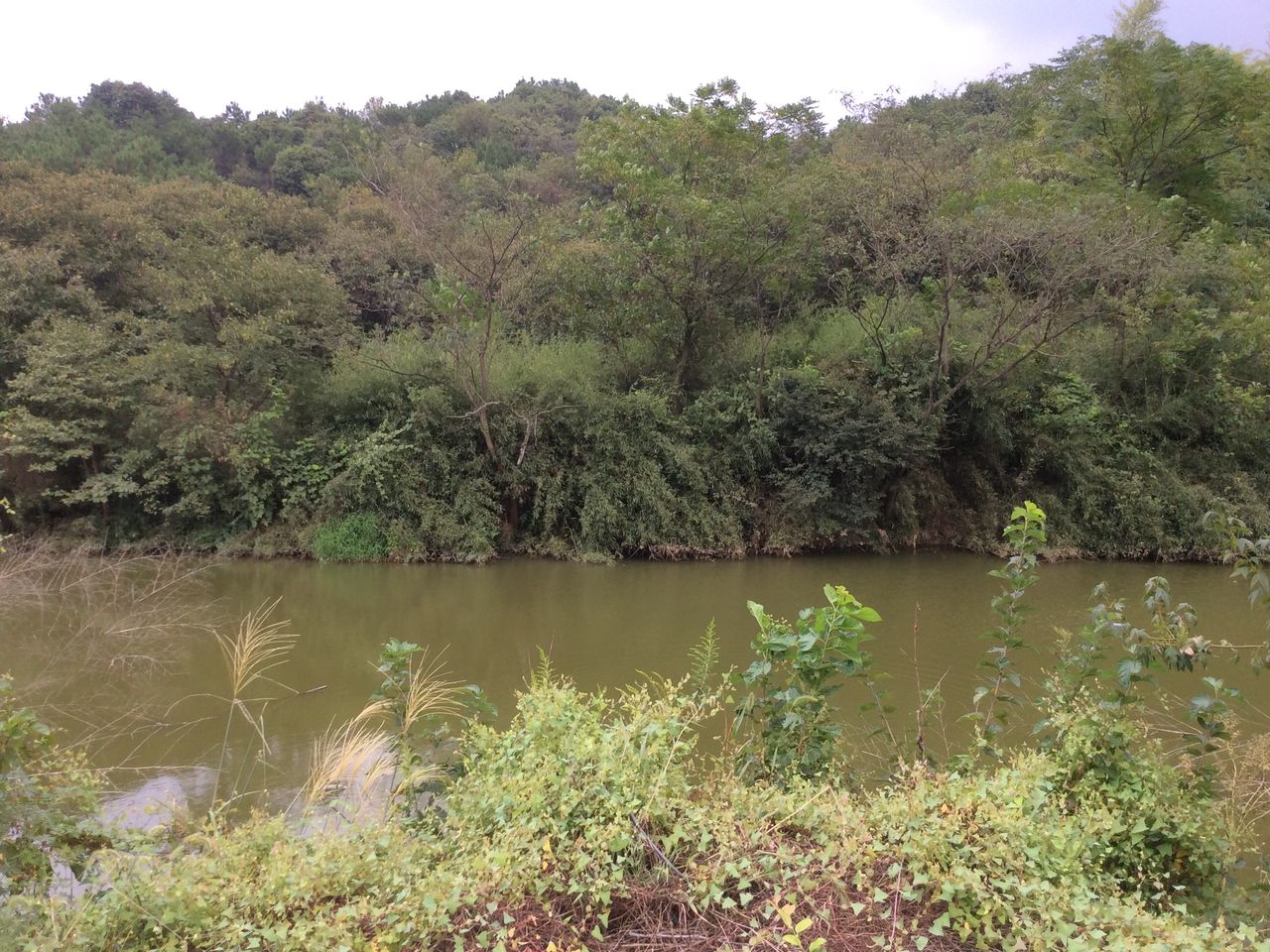 朱山湖水库