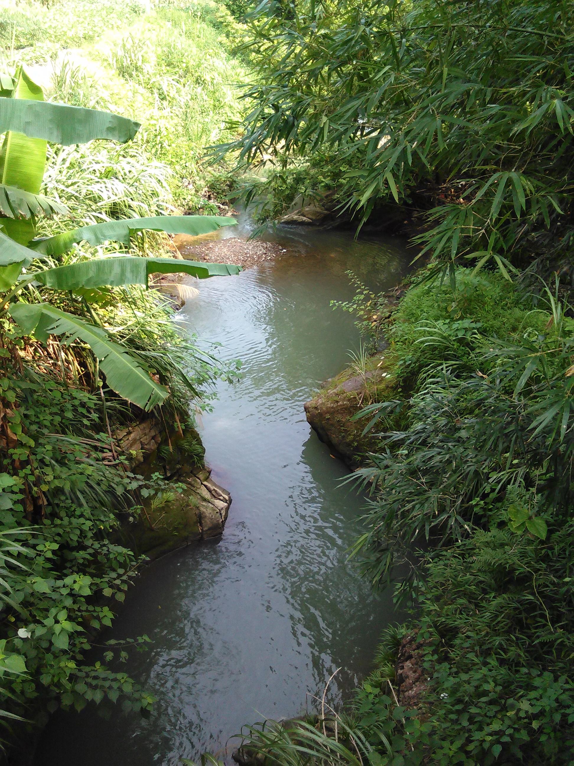 赛仁河