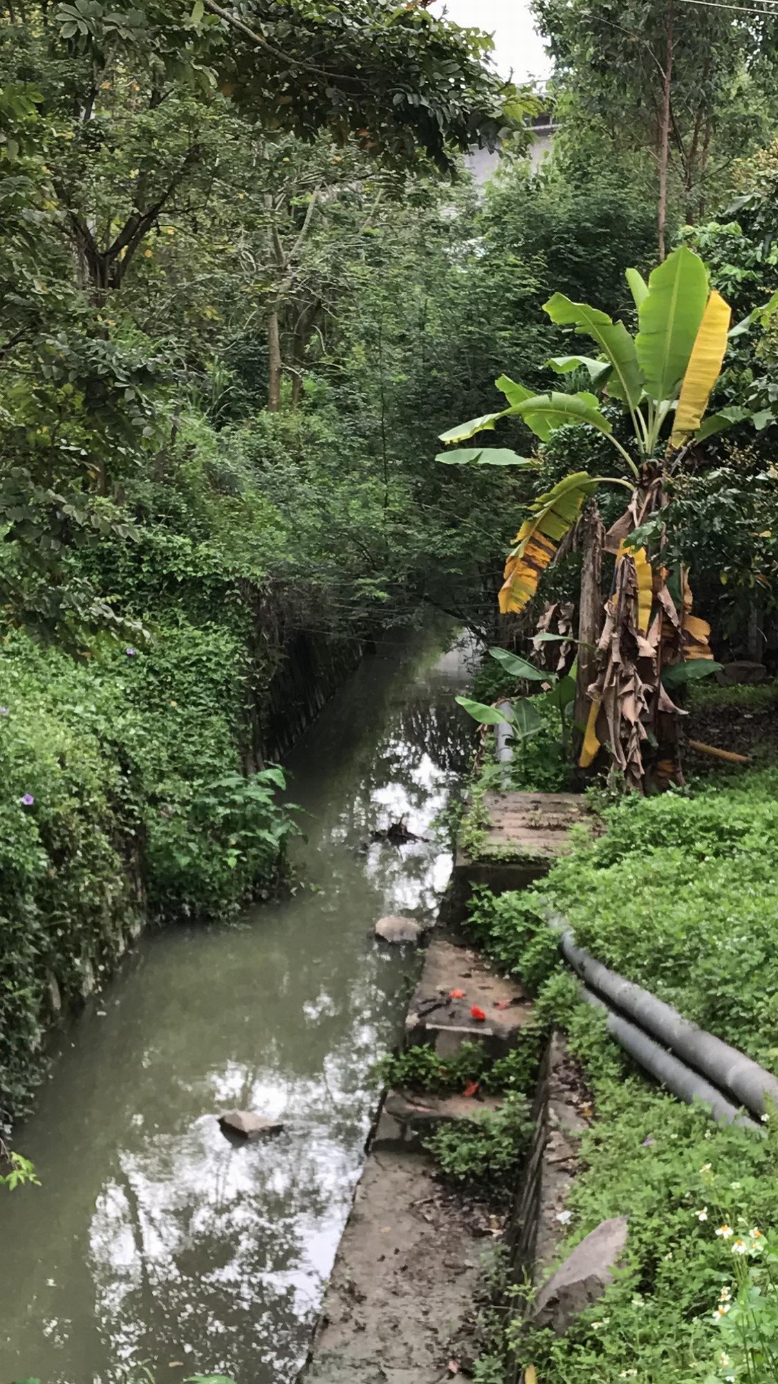 蛇地坷水库