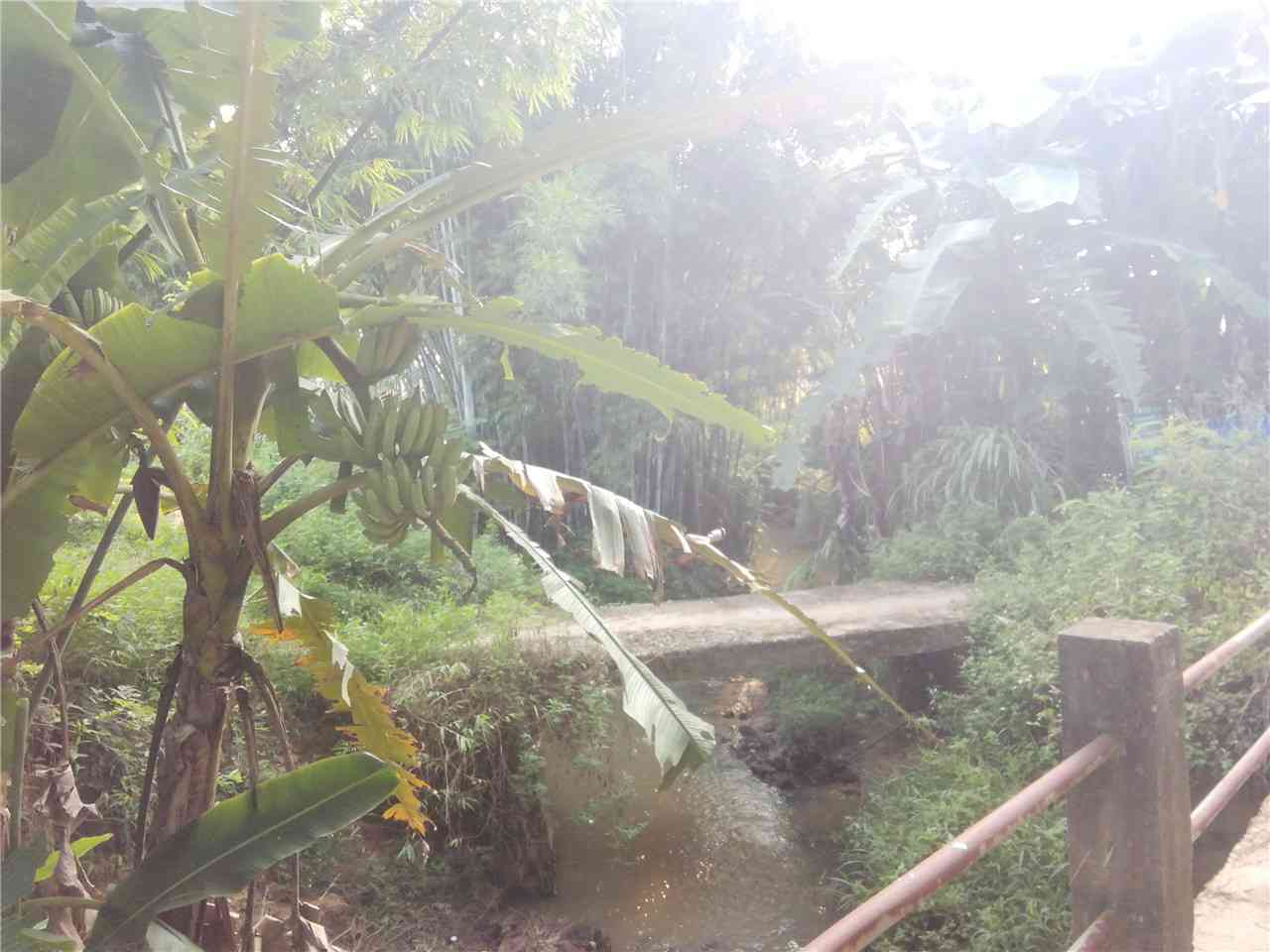 高山河