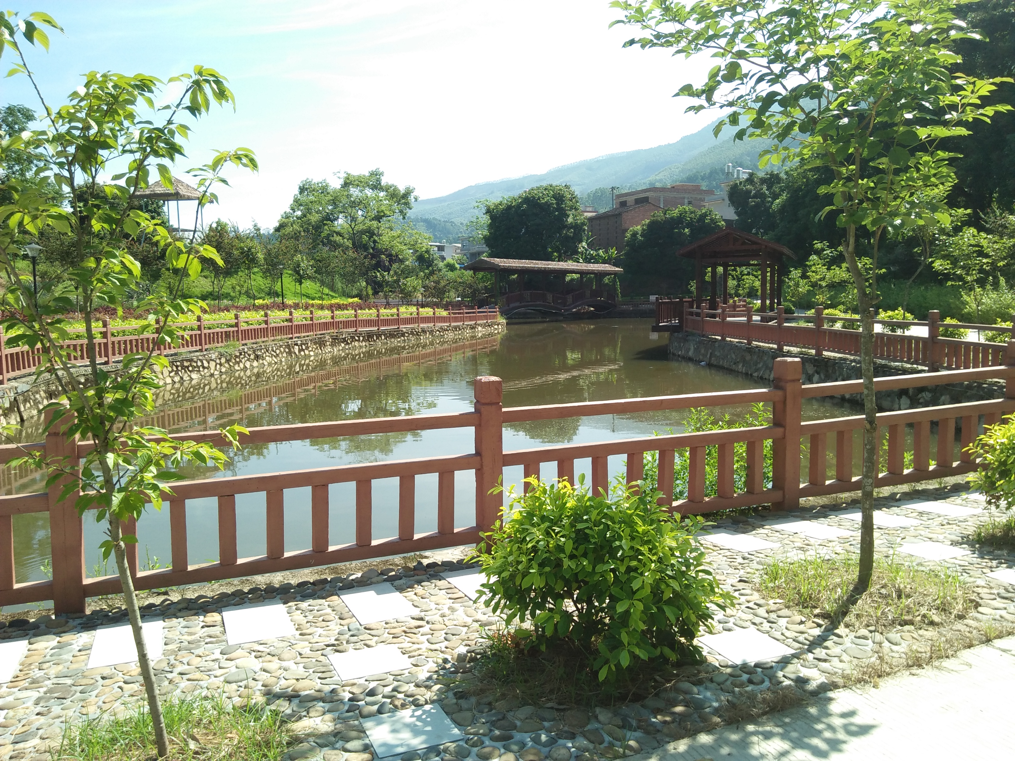 高山族湿地公园