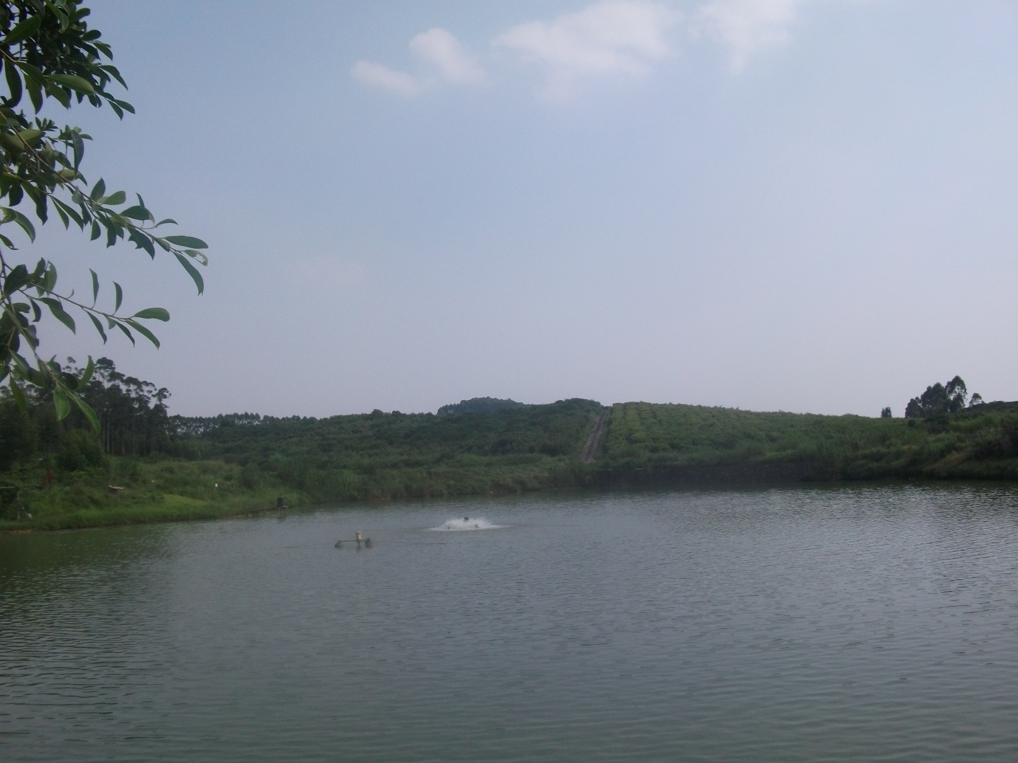 缠岗大山塘水库