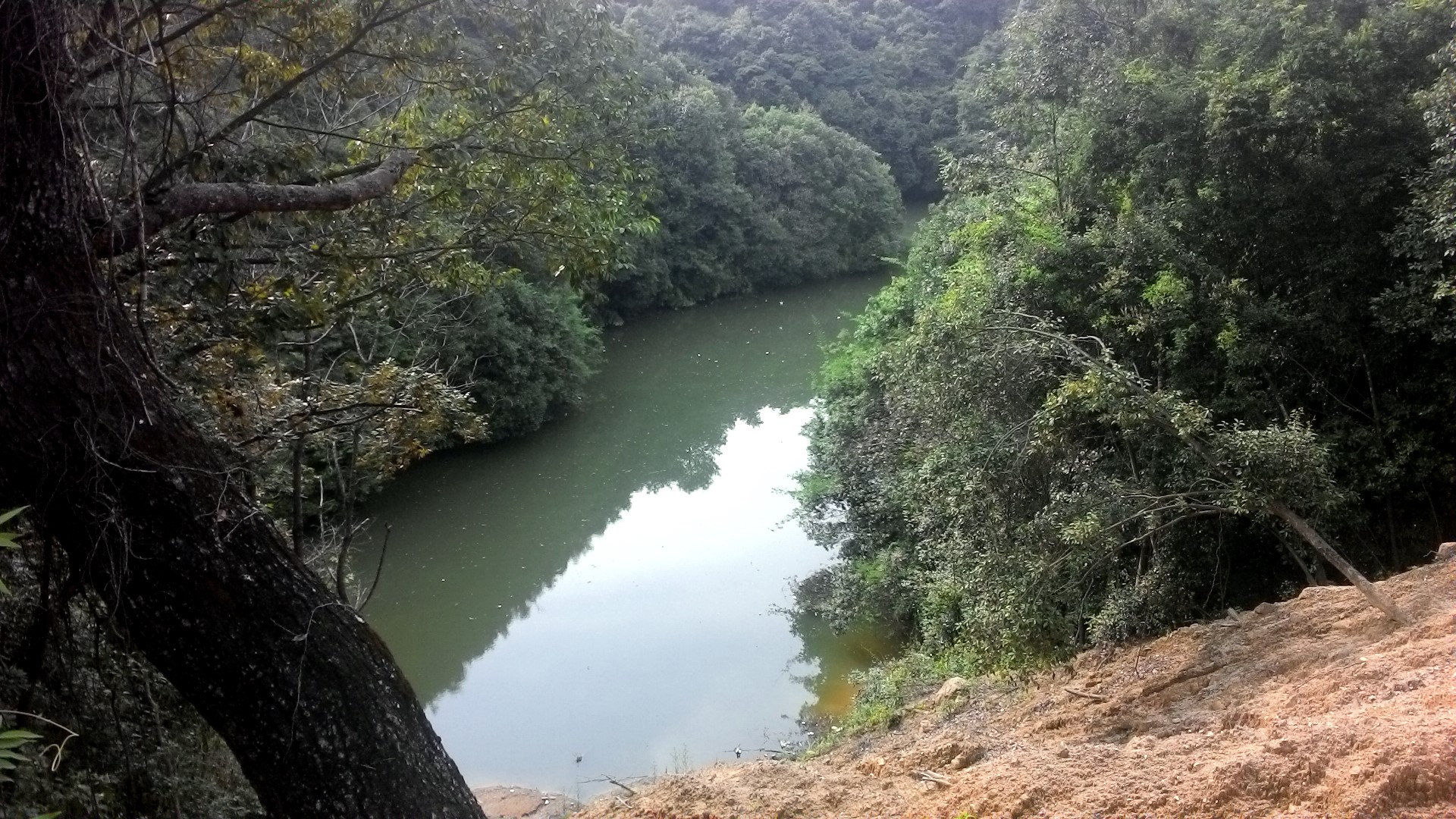 青山水库