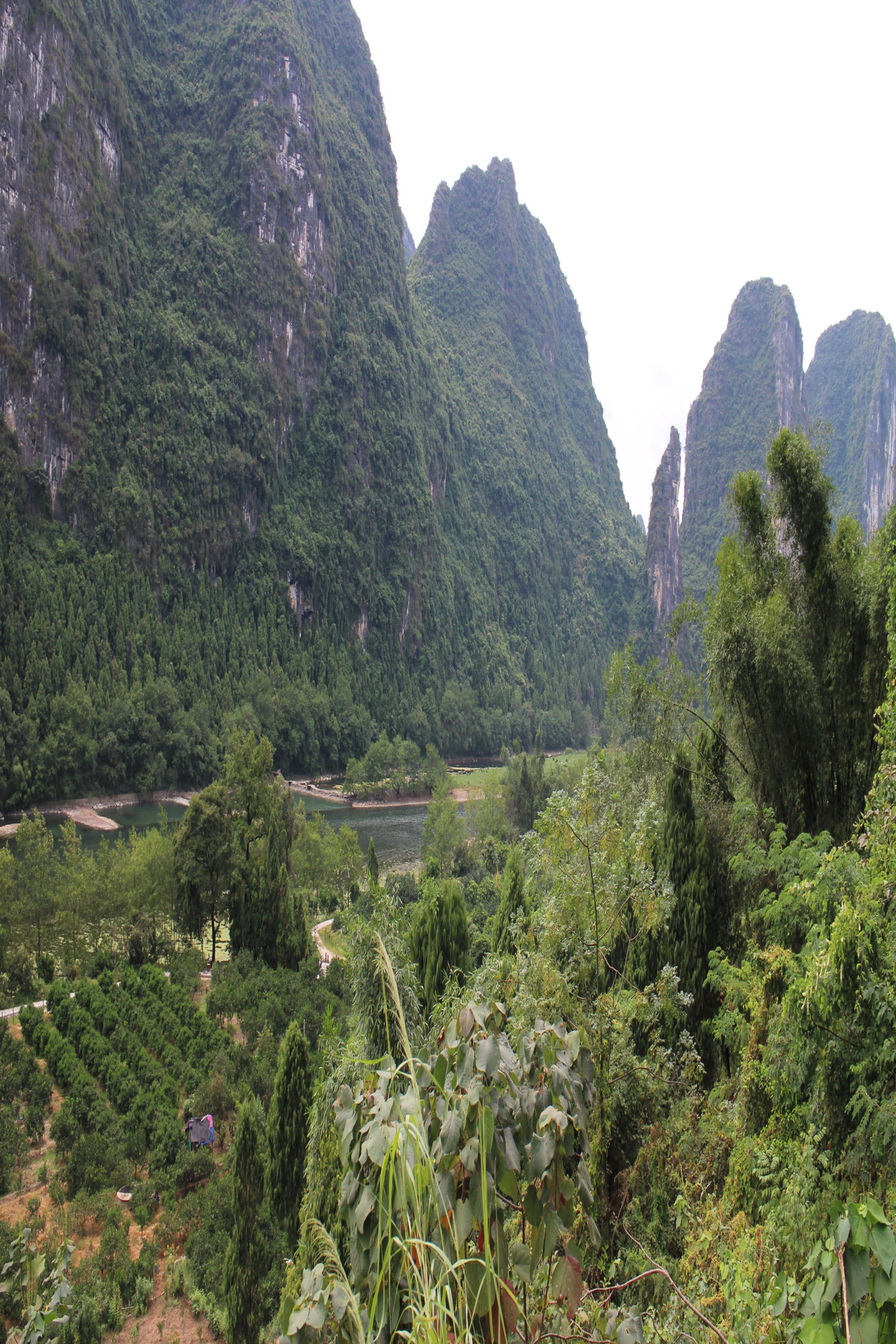 鲤鱼洲