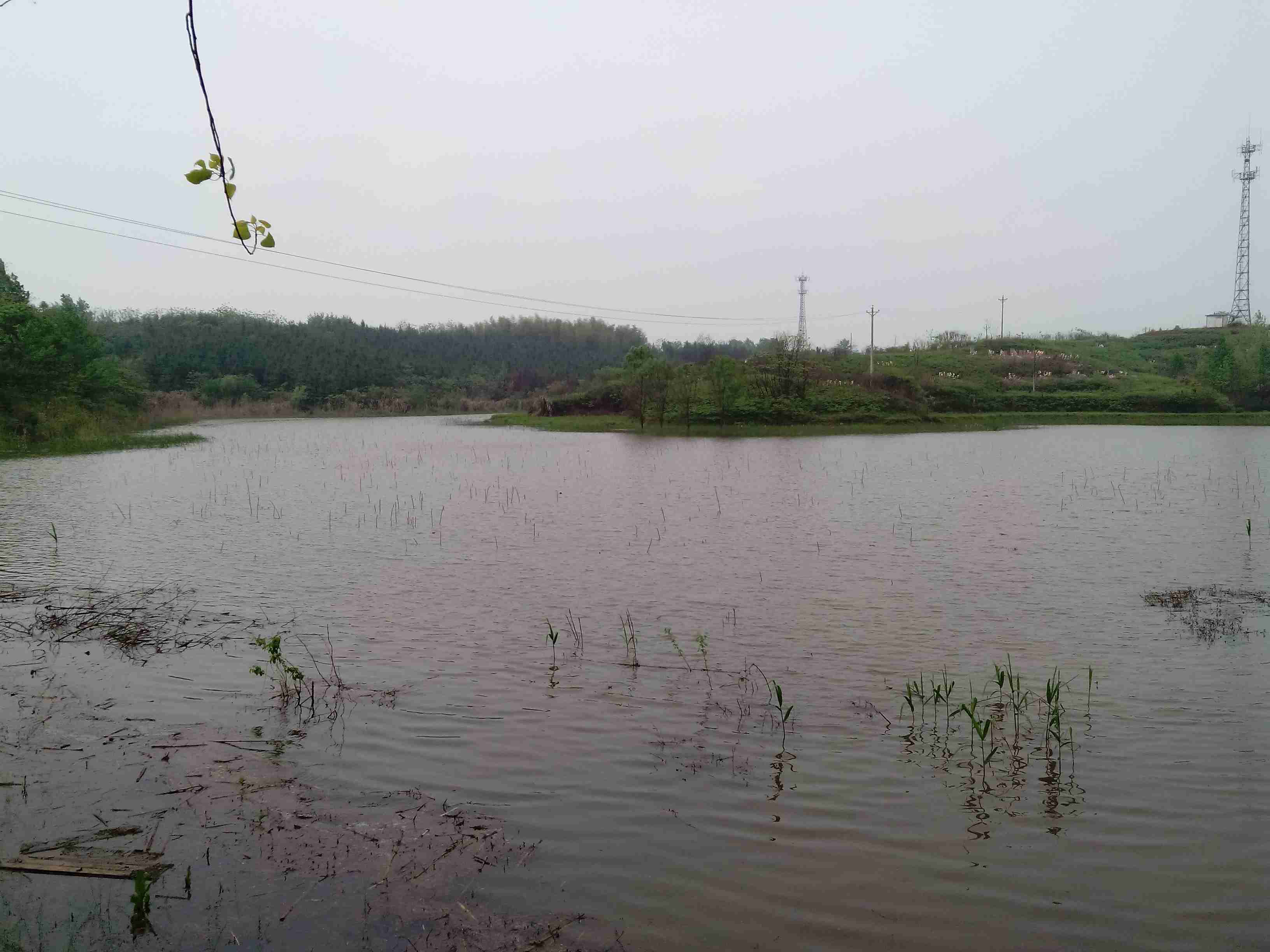 裤裆湖水库