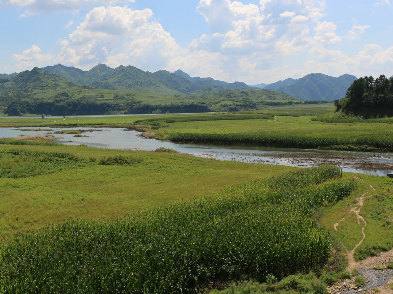 大路河河口