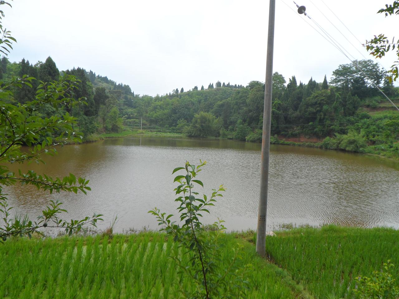 小湾水库