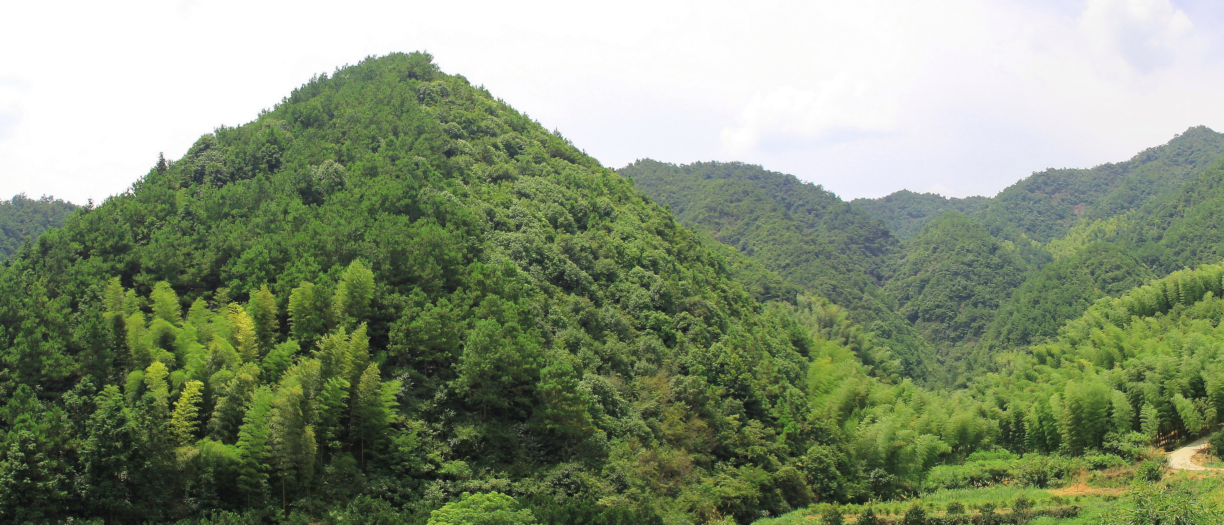 公山灵猫黑麂自然保护小区