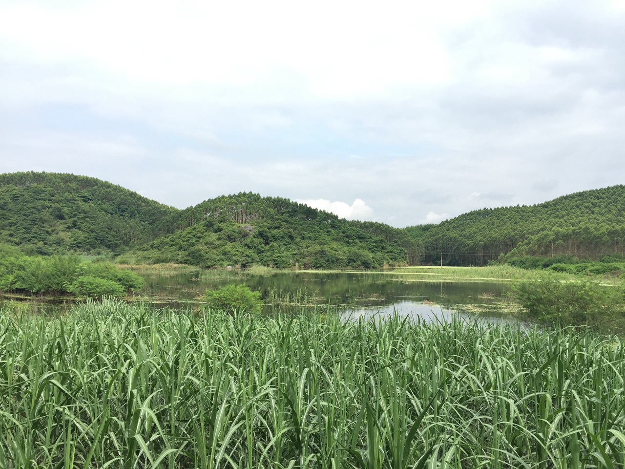 付山水库