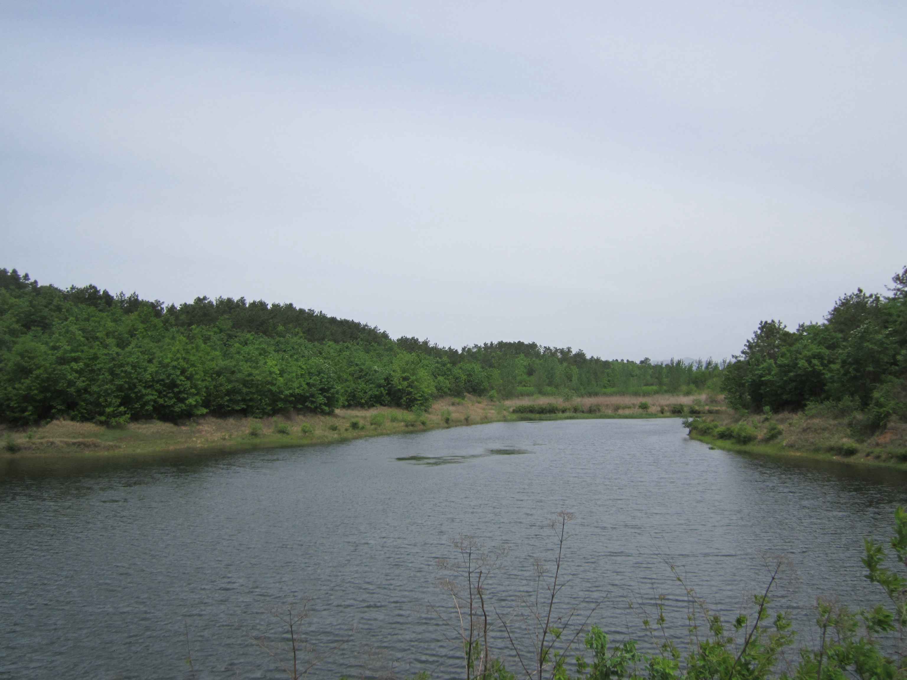 楼子坡水库