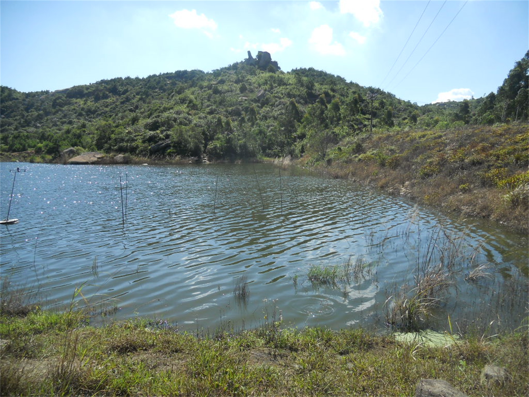 靠塘水库