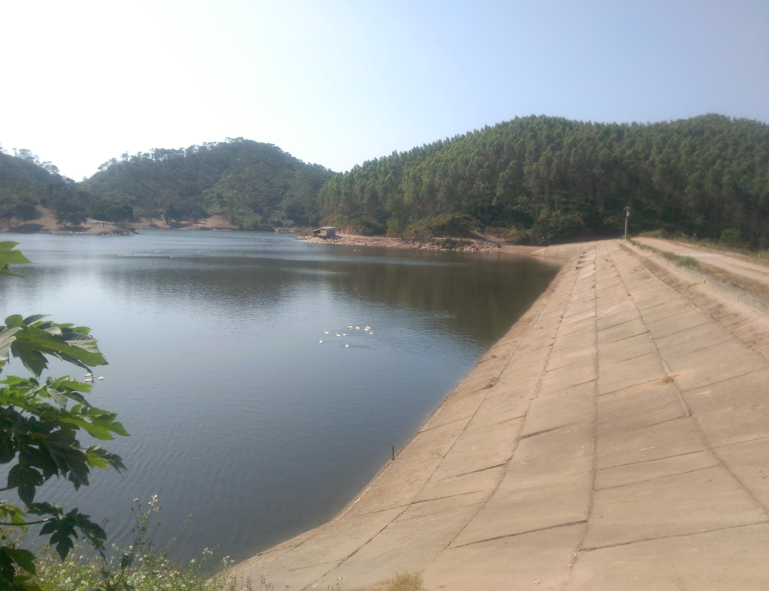 鸡笼坑水库