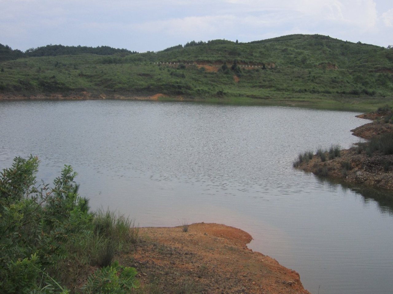 鲤鱼埔水库