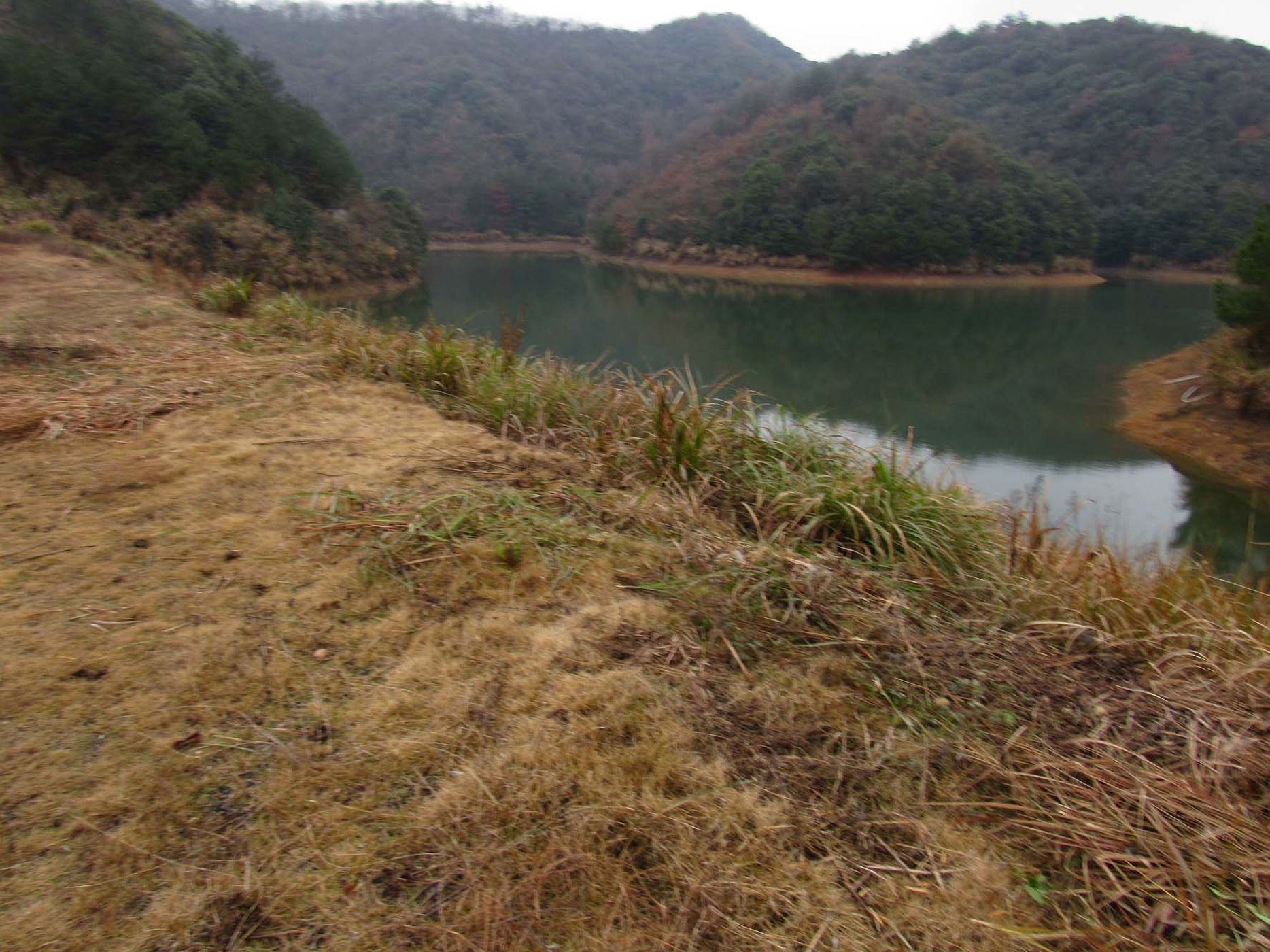 泉水湾水库