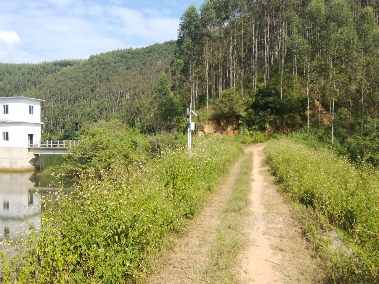 琴山水库