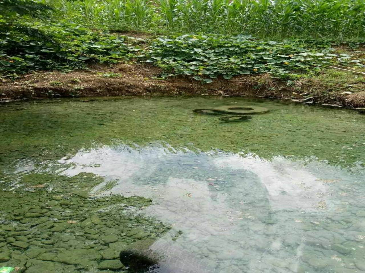 麦坝温泉