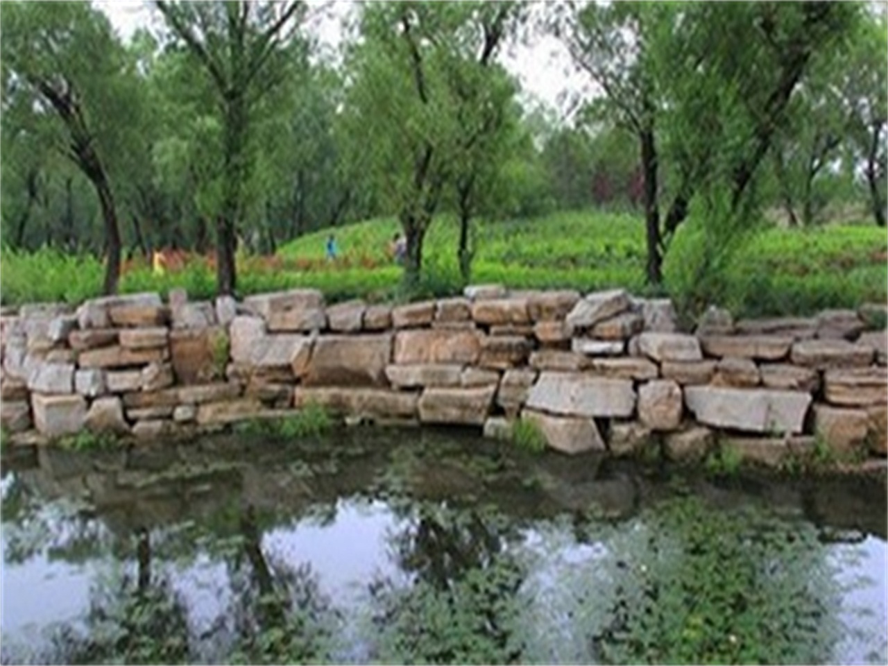 上泉湿地公园
