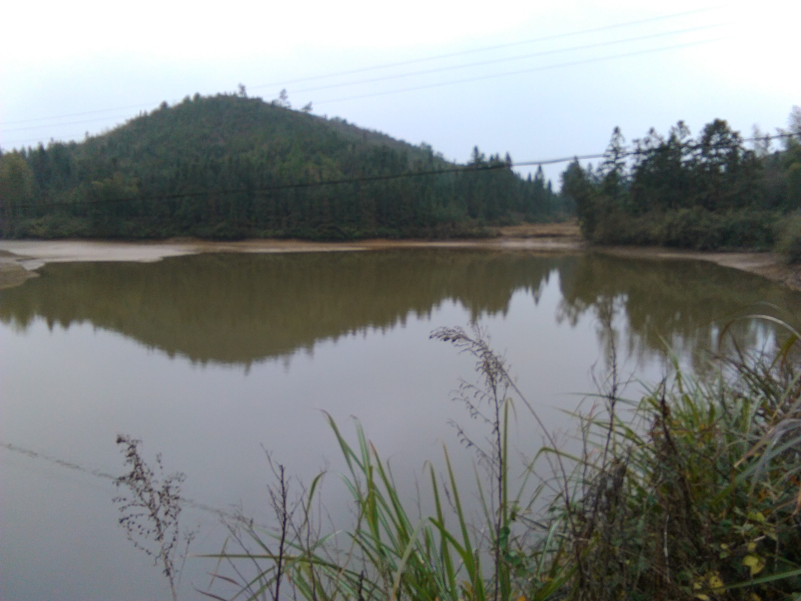 草籽岭山塘