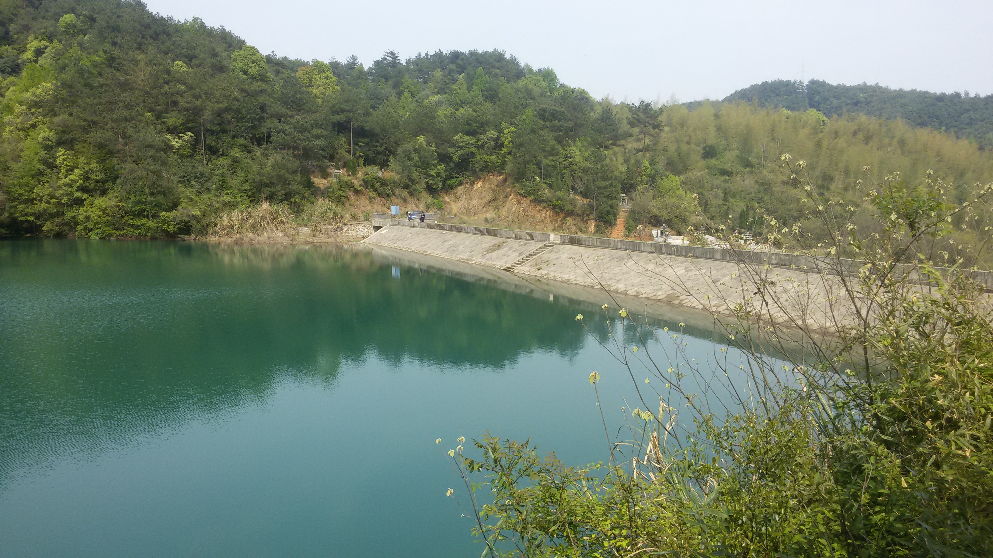 苦山坞山塘