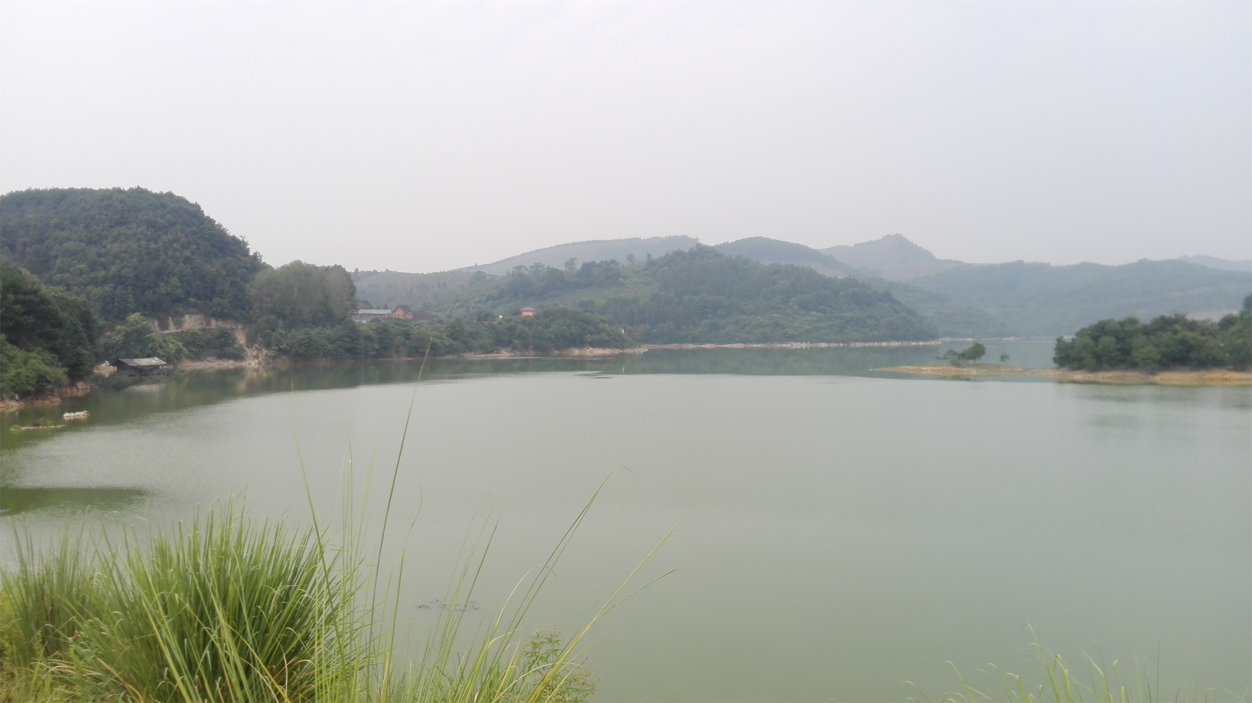 飞山水库湿地保护区