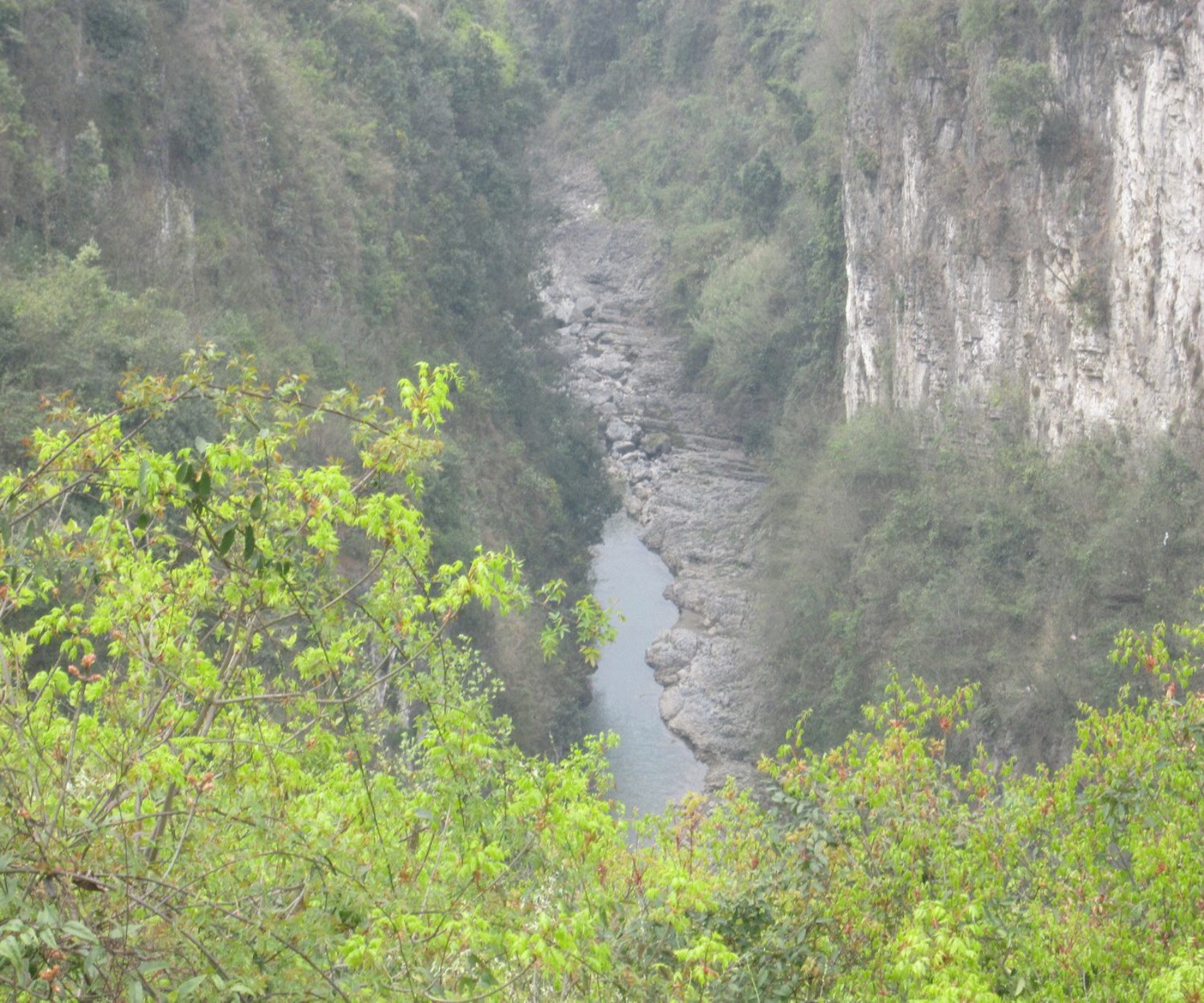 桐梓河峡谷