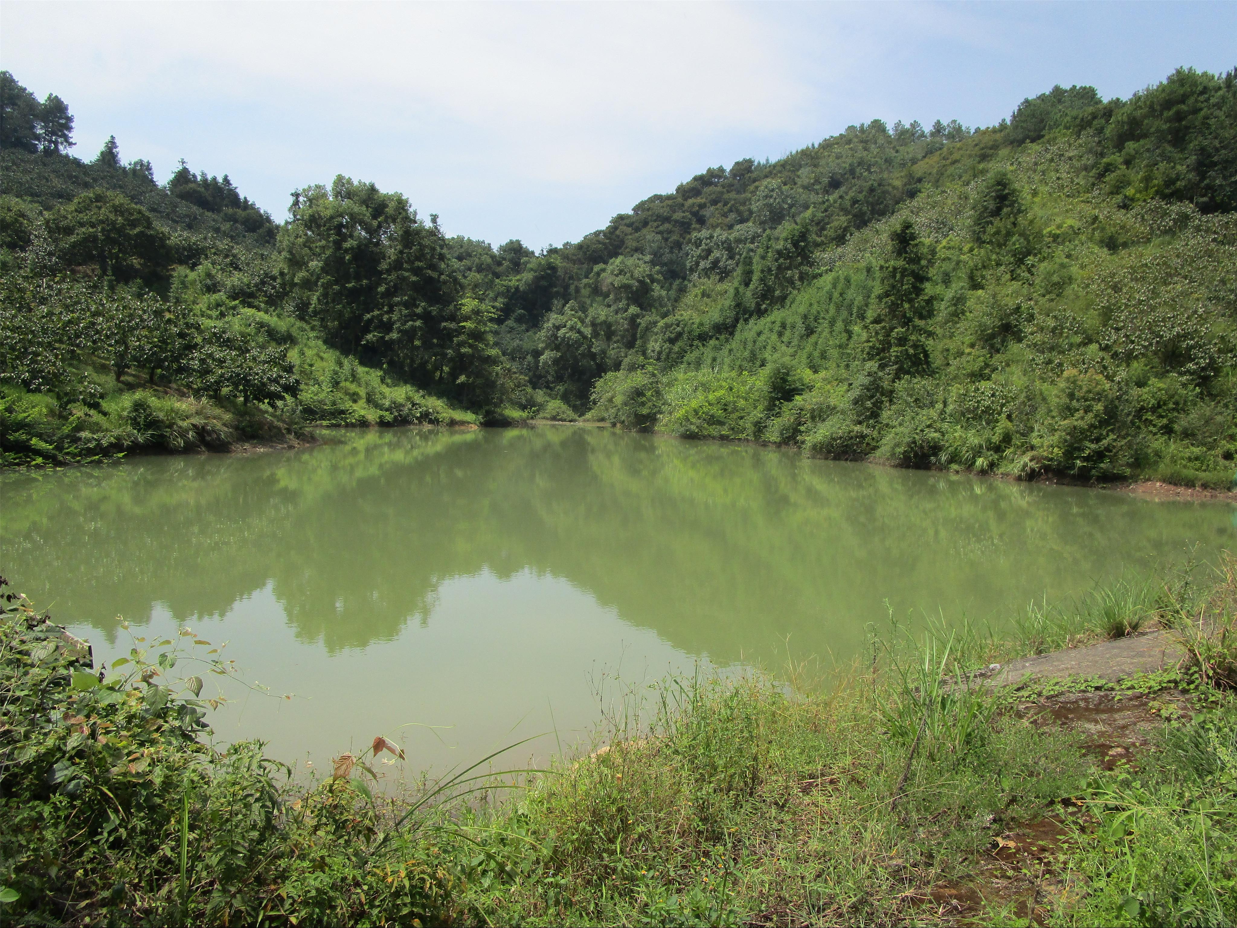 大寨岩水库