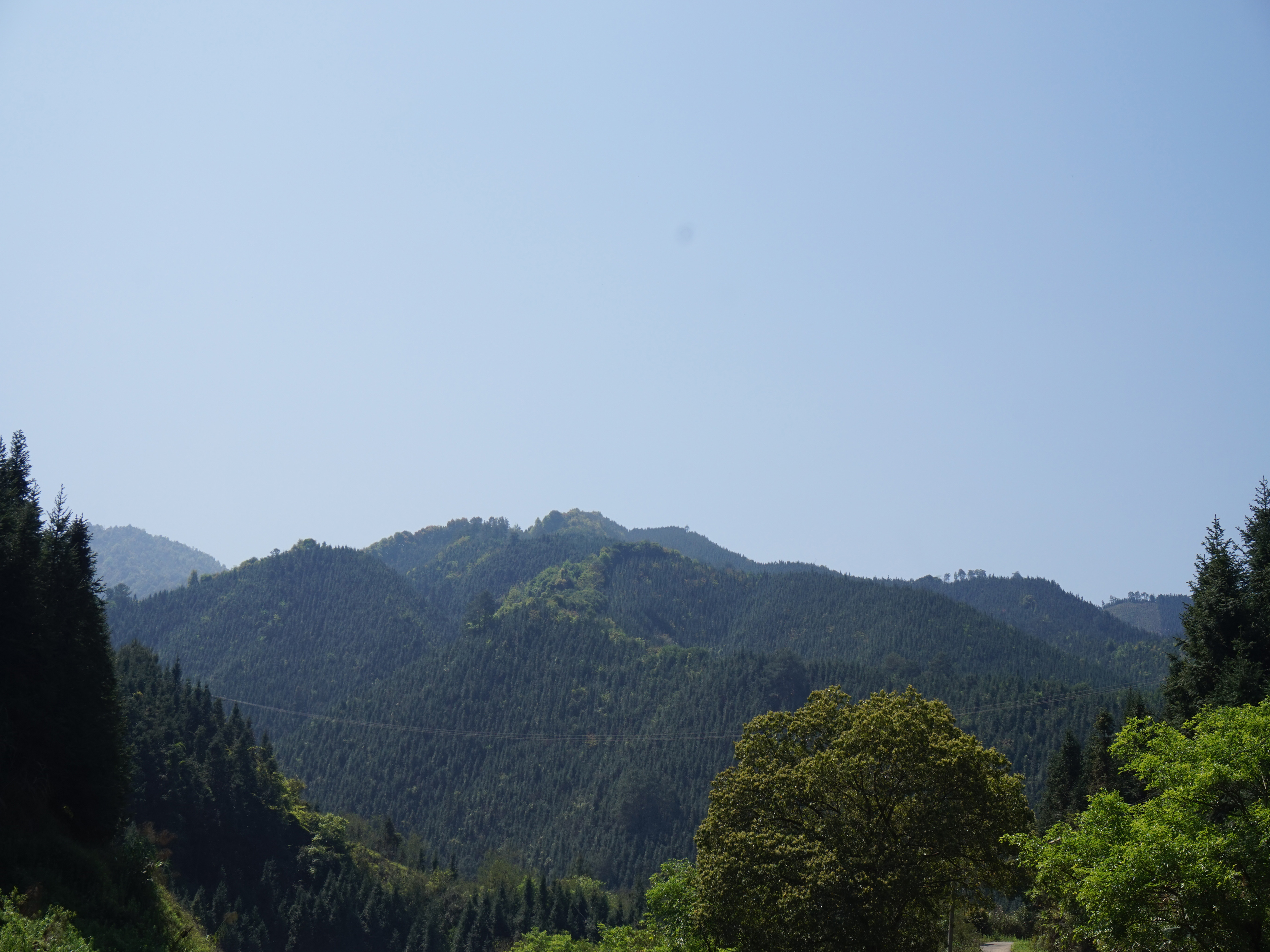 芙蓉山自然保护区