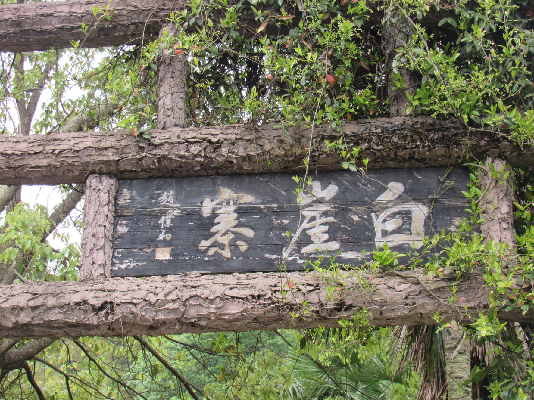 白崖寨风景区