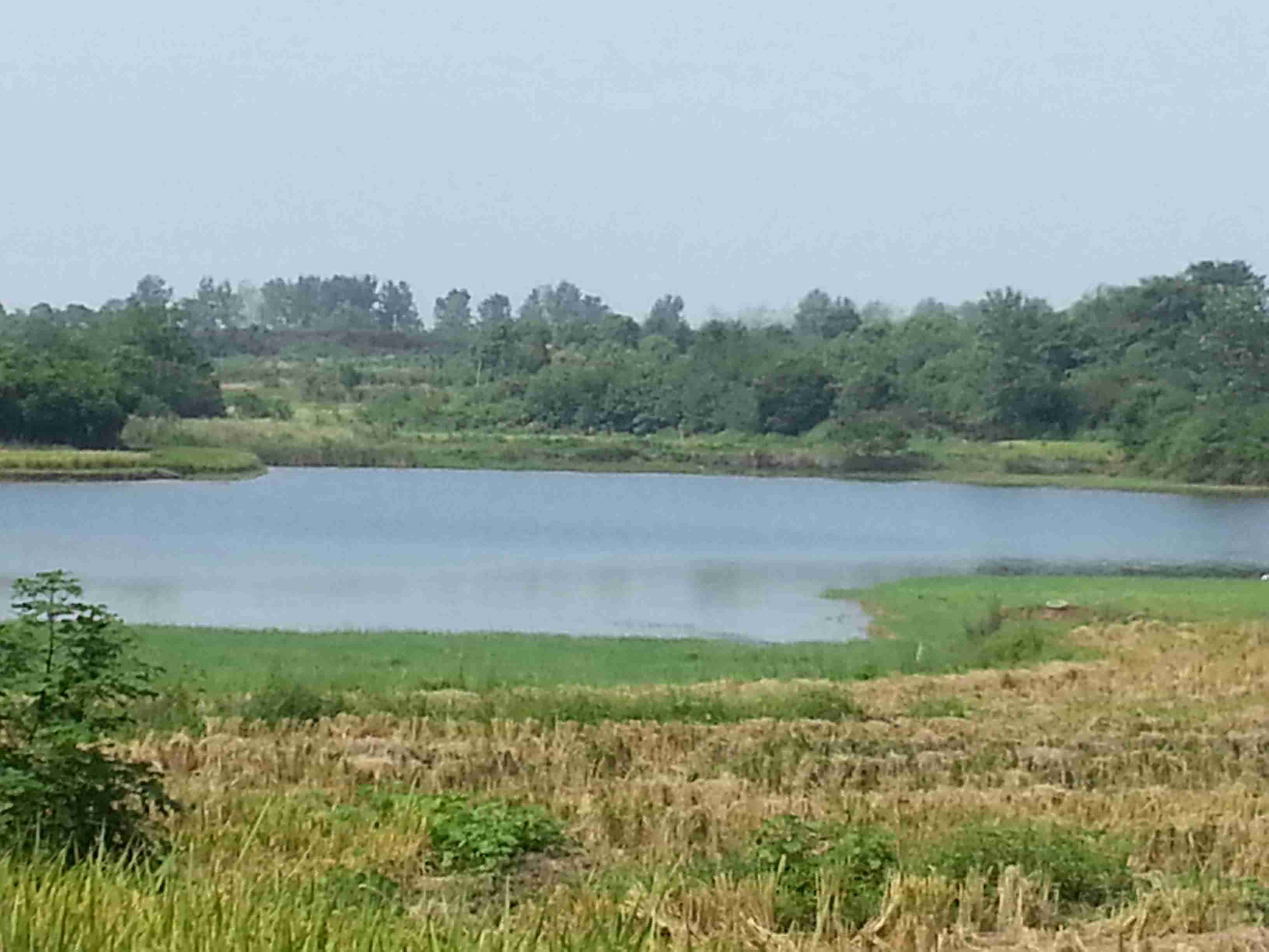 鞠湾水库