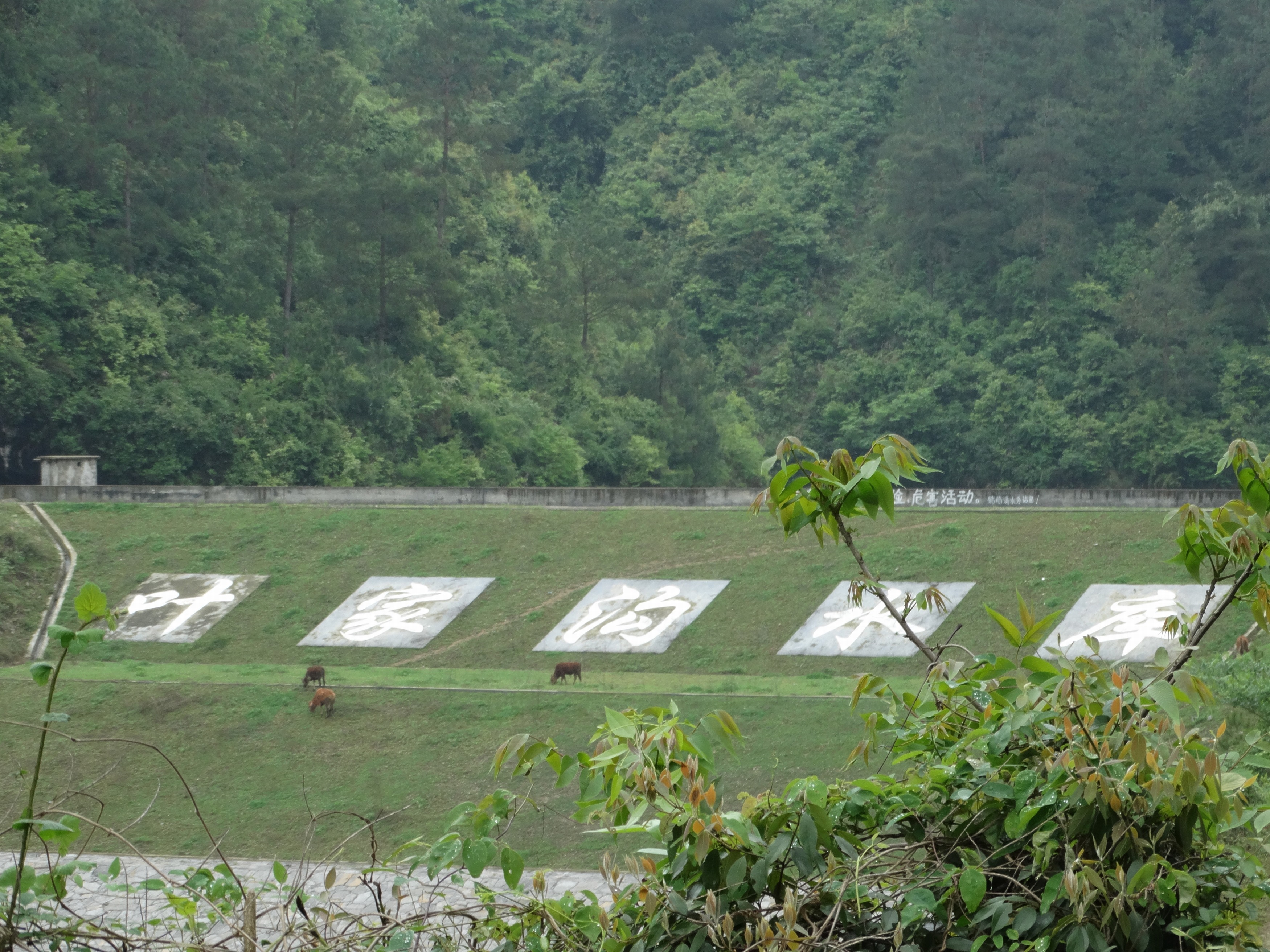 叶家沟水库