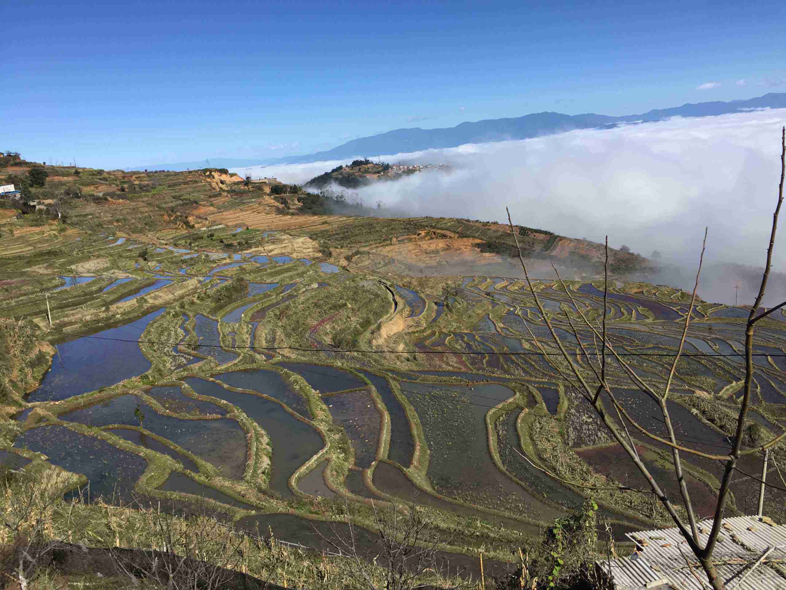 哈尼云海梯田