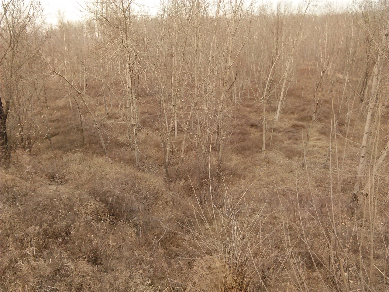 沙河水库