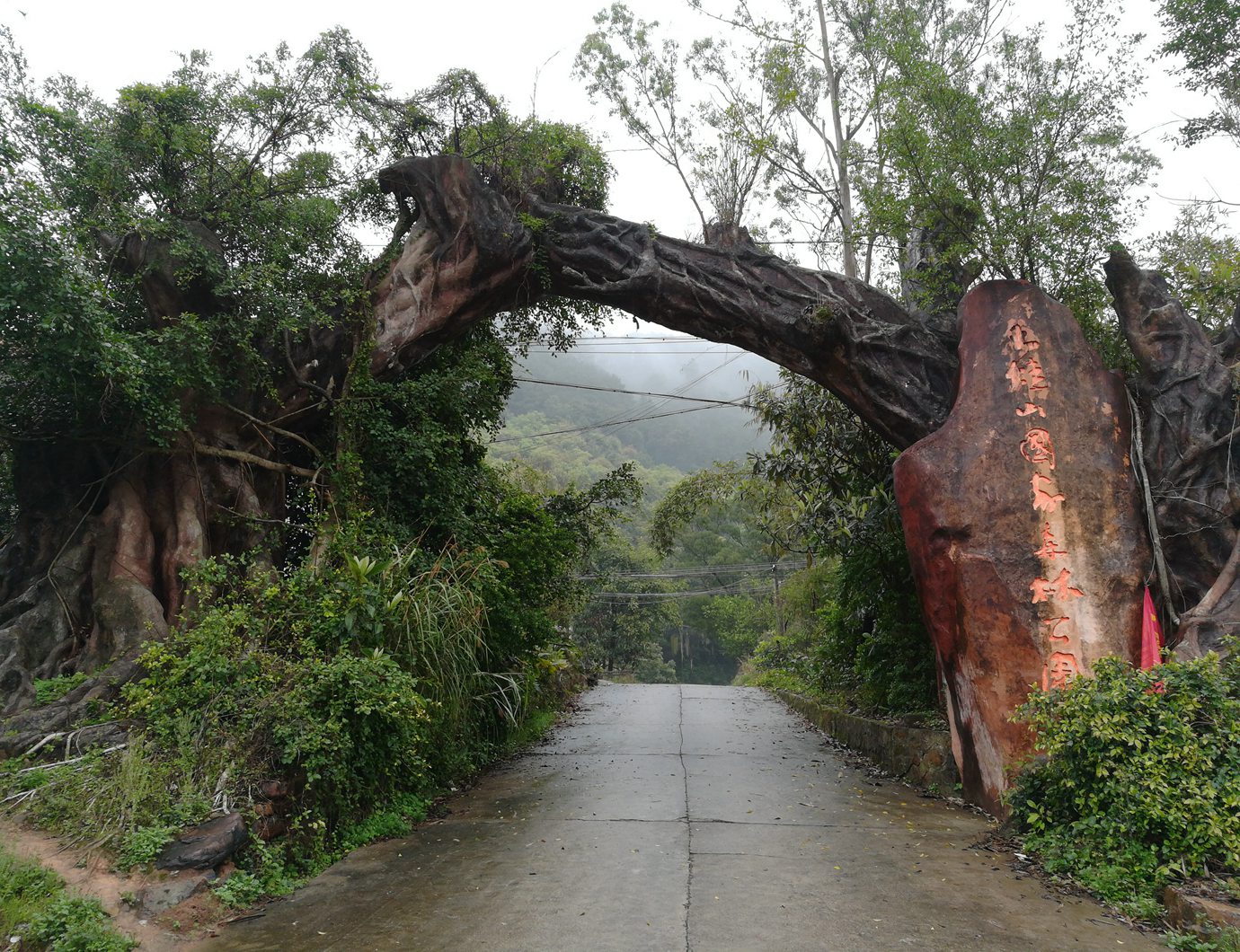 广西大桂山鳄蜥自然保护区