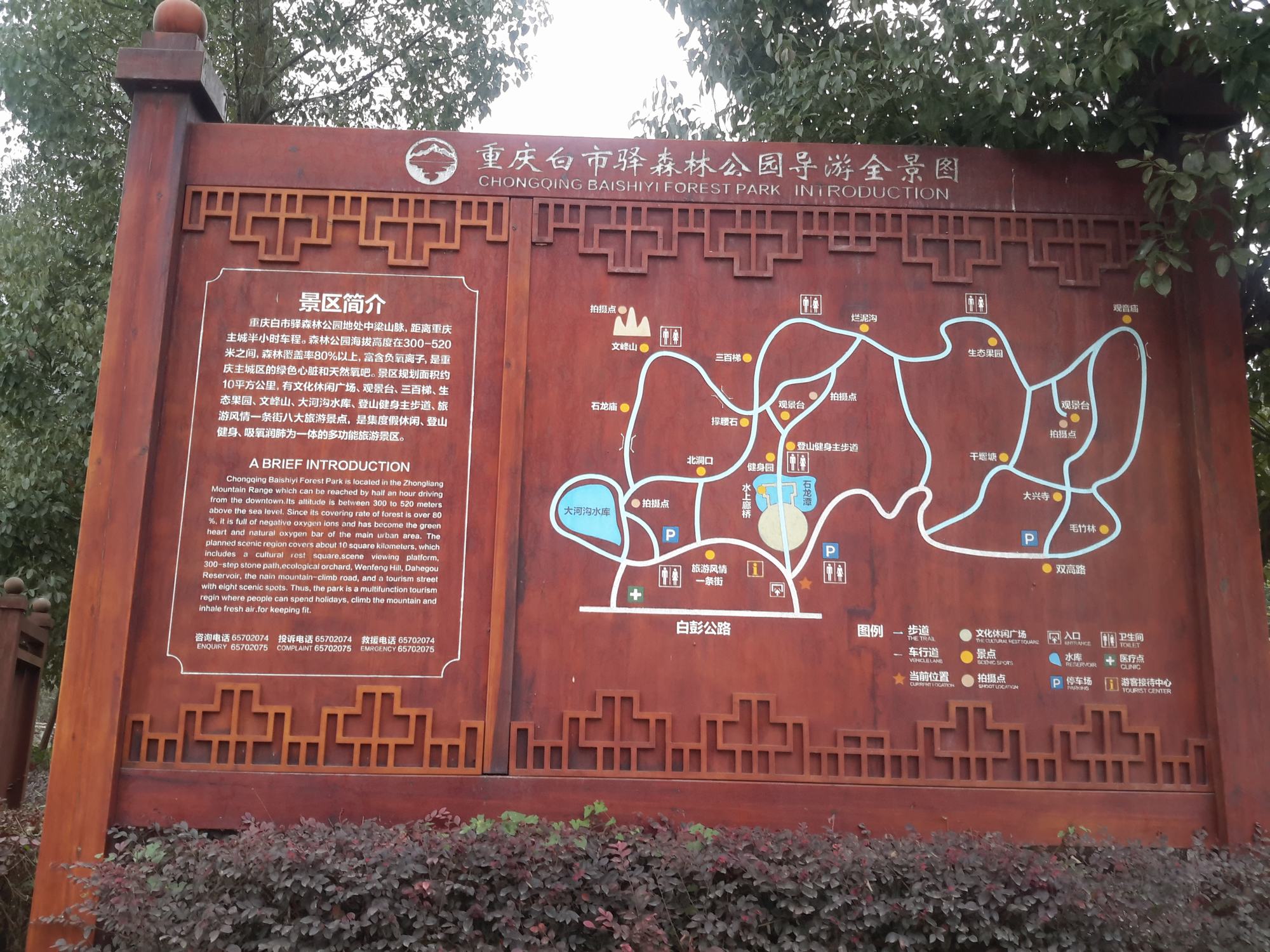 重庆白市驿森林公园