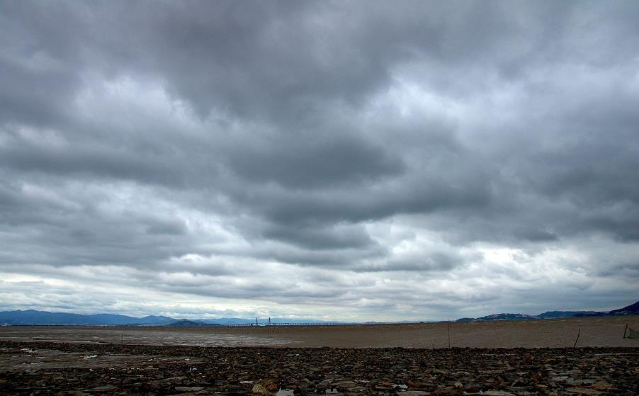 7月31日临沂阴转雷阵雨,南风微风