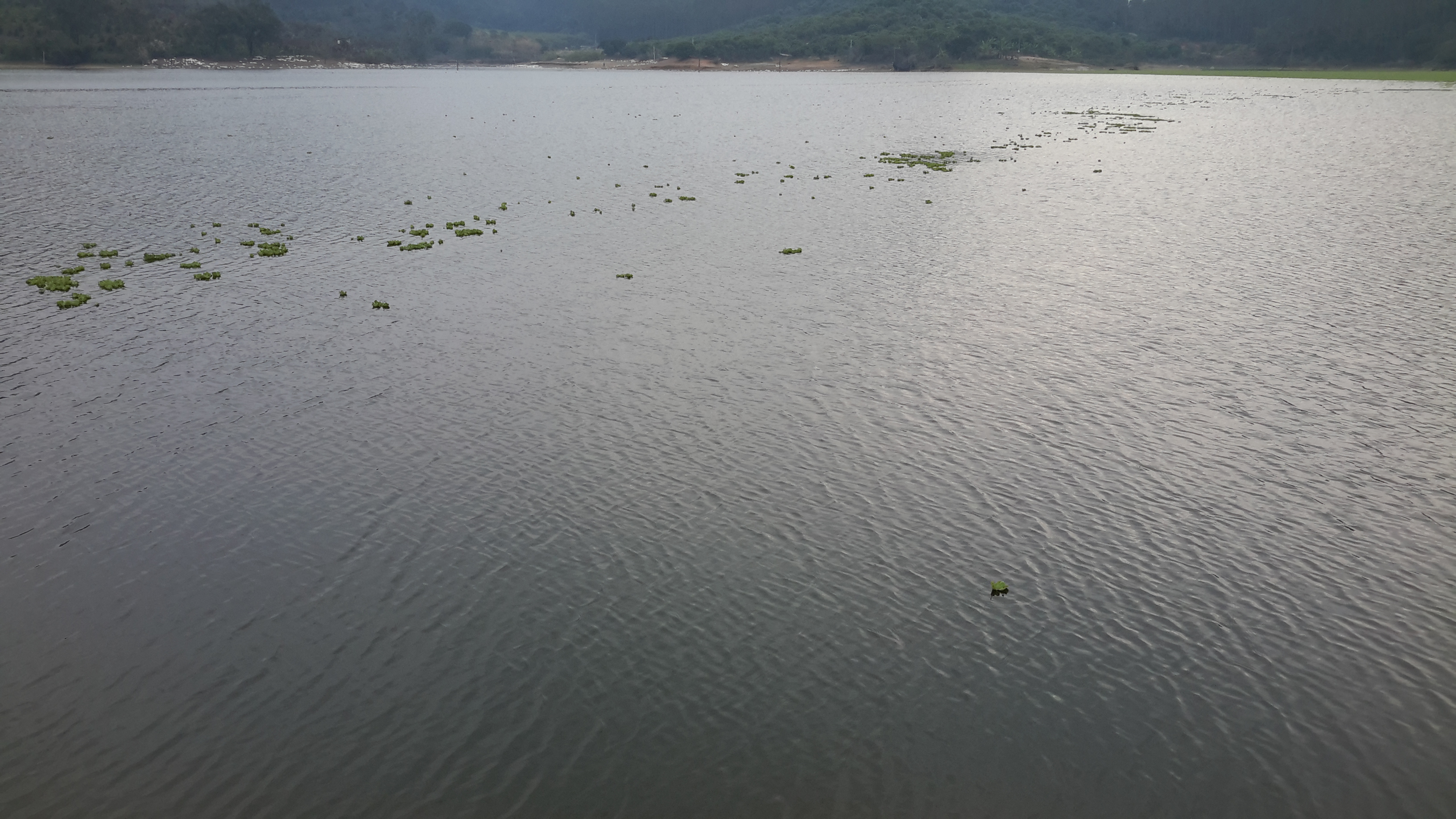 白沙溪水库