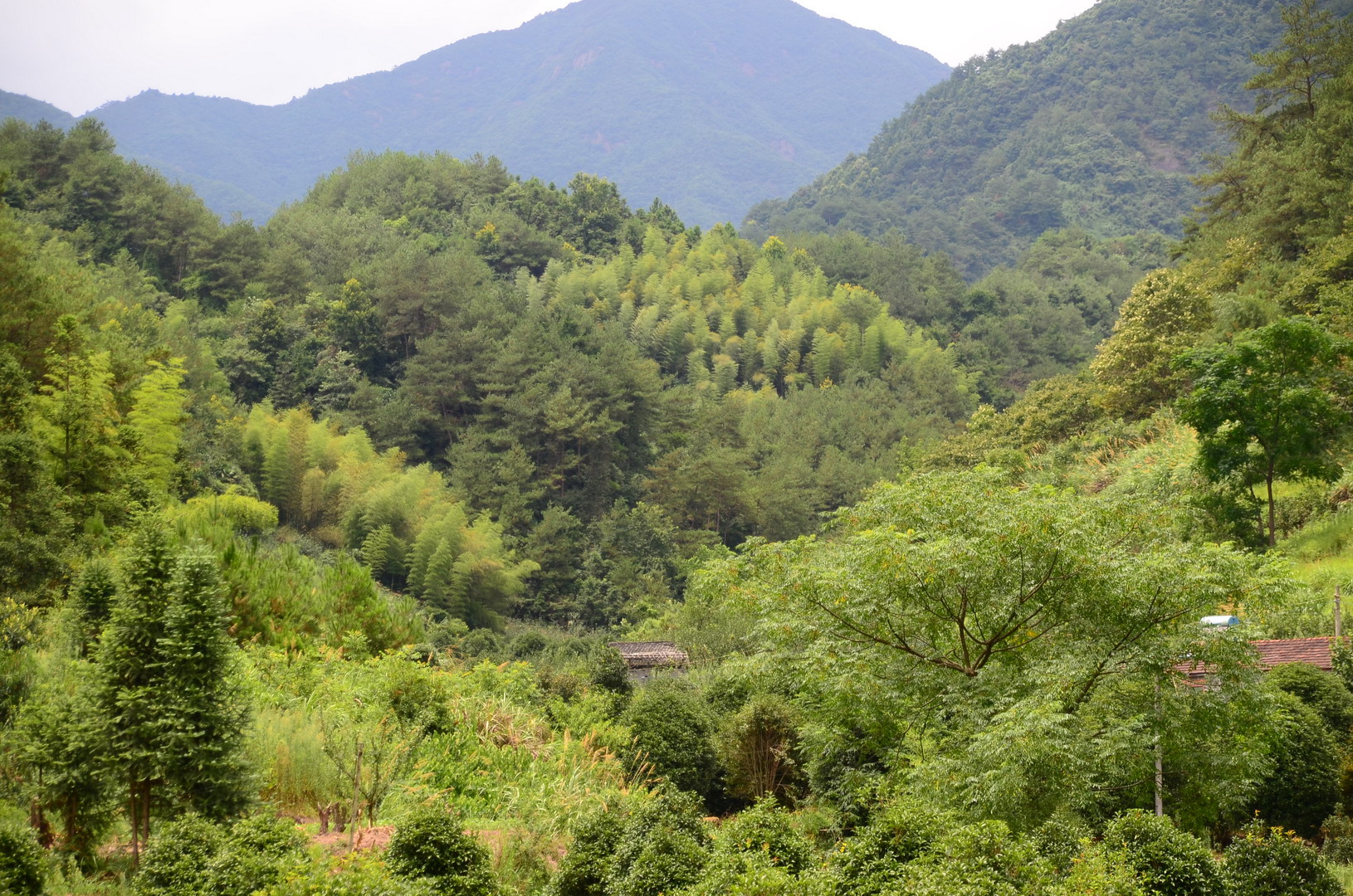 岩龙塘坑