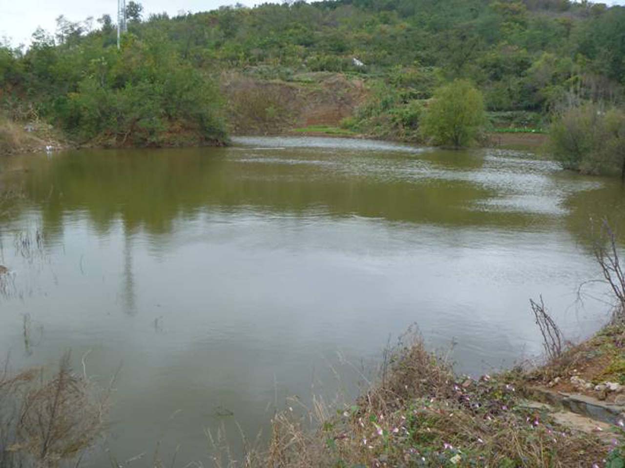 张家岚大水库