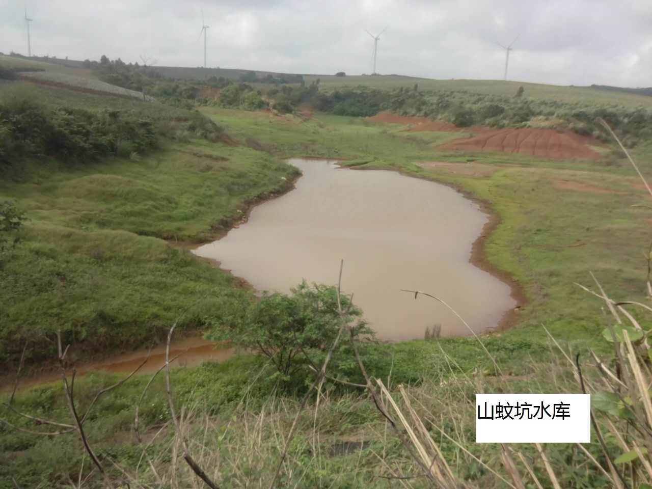 三蚊坑水库