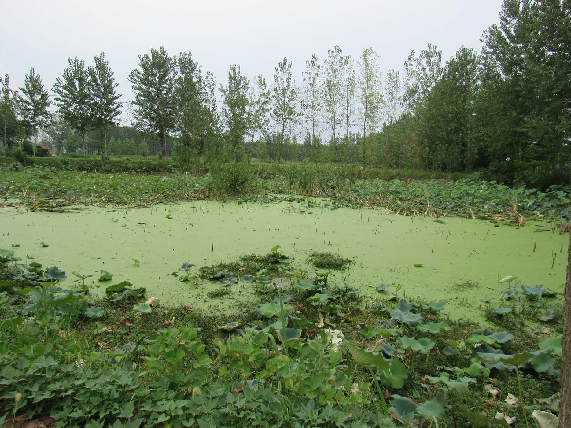 楼湾水库