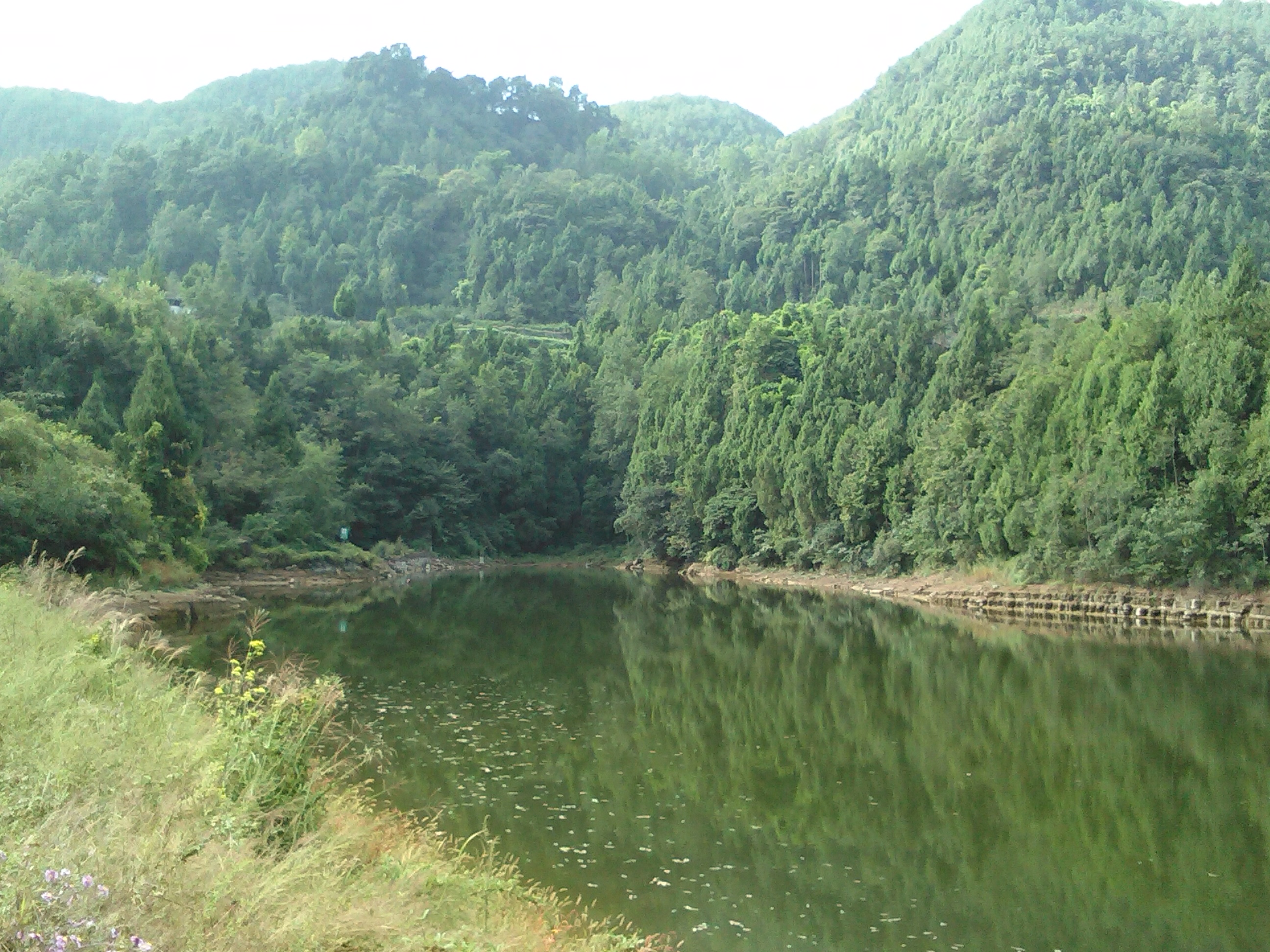 堤河水库