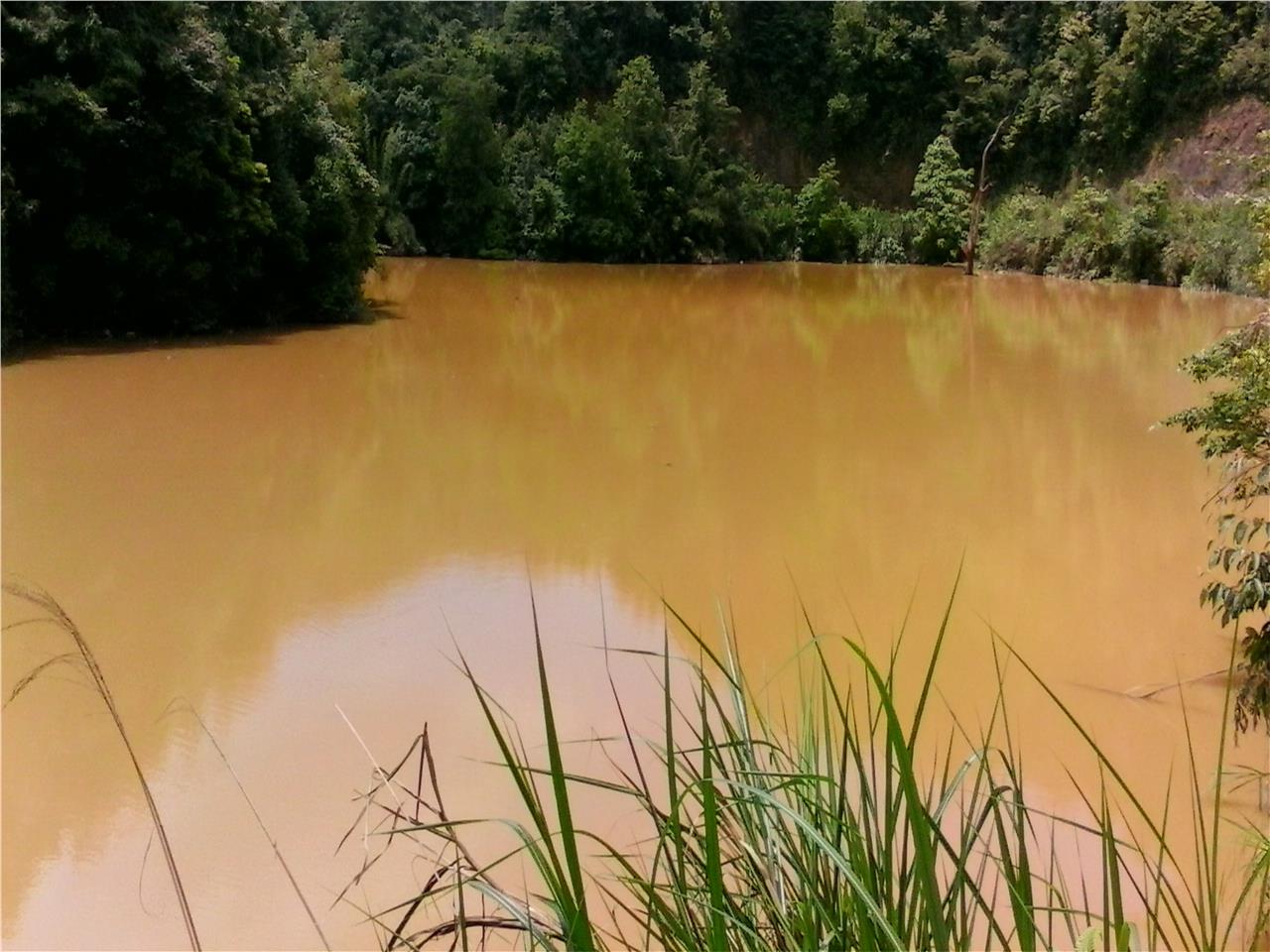 龙溪一级水库