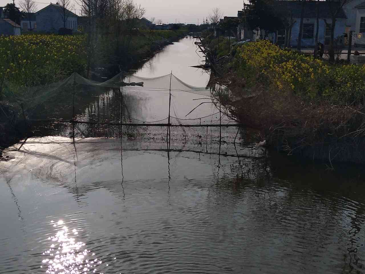 新河中心河